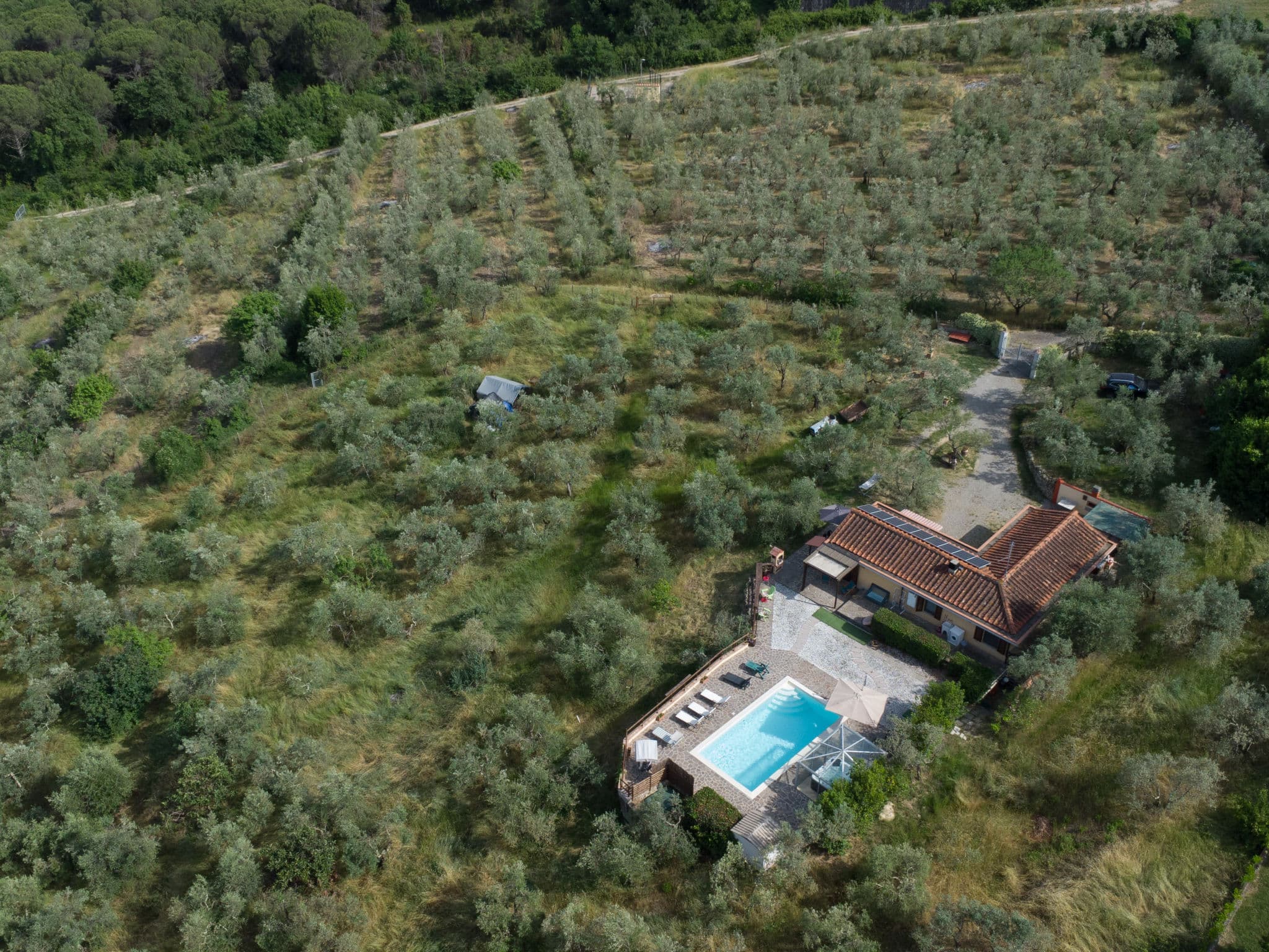 Aerial photography