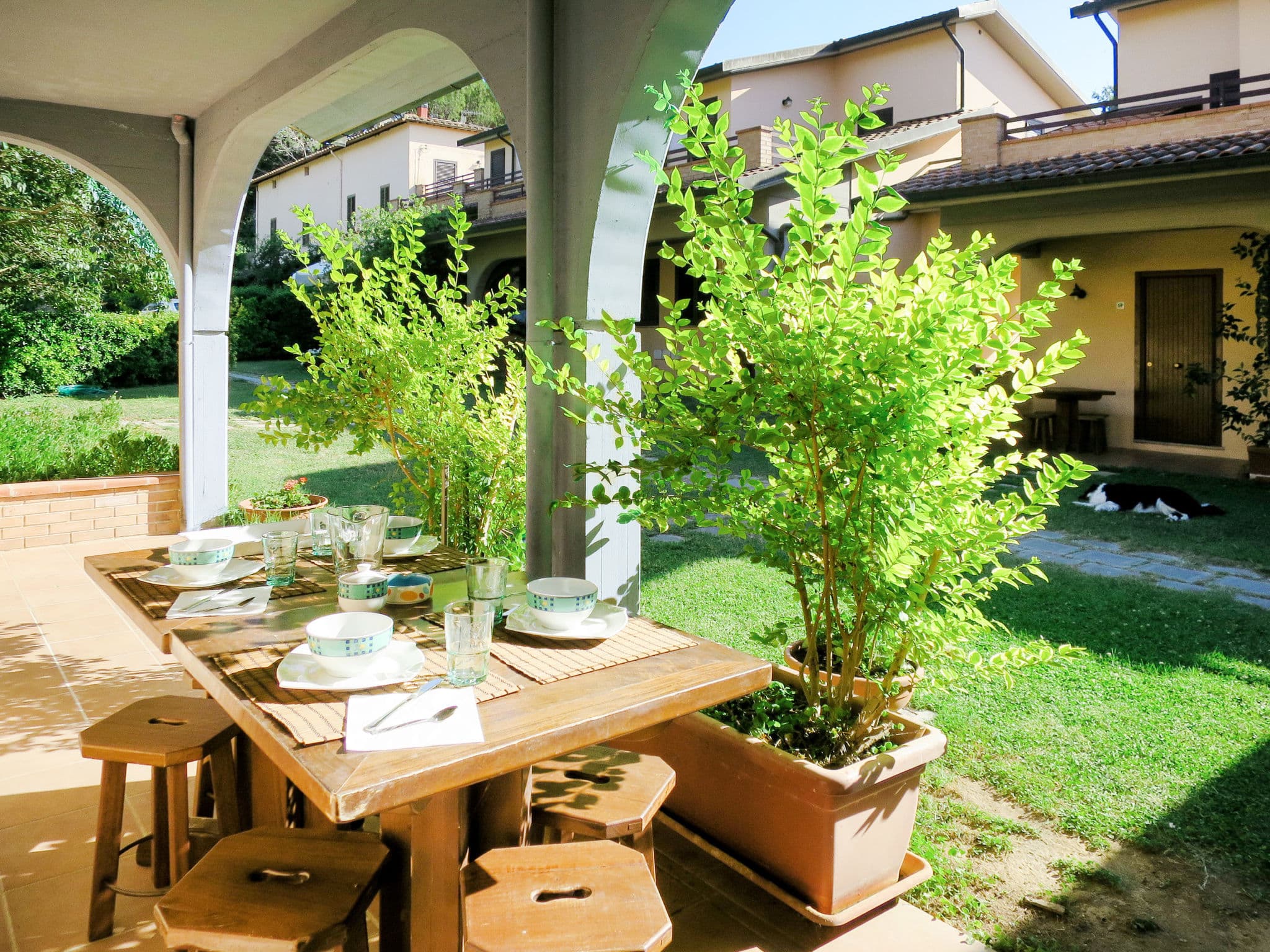 Terrace