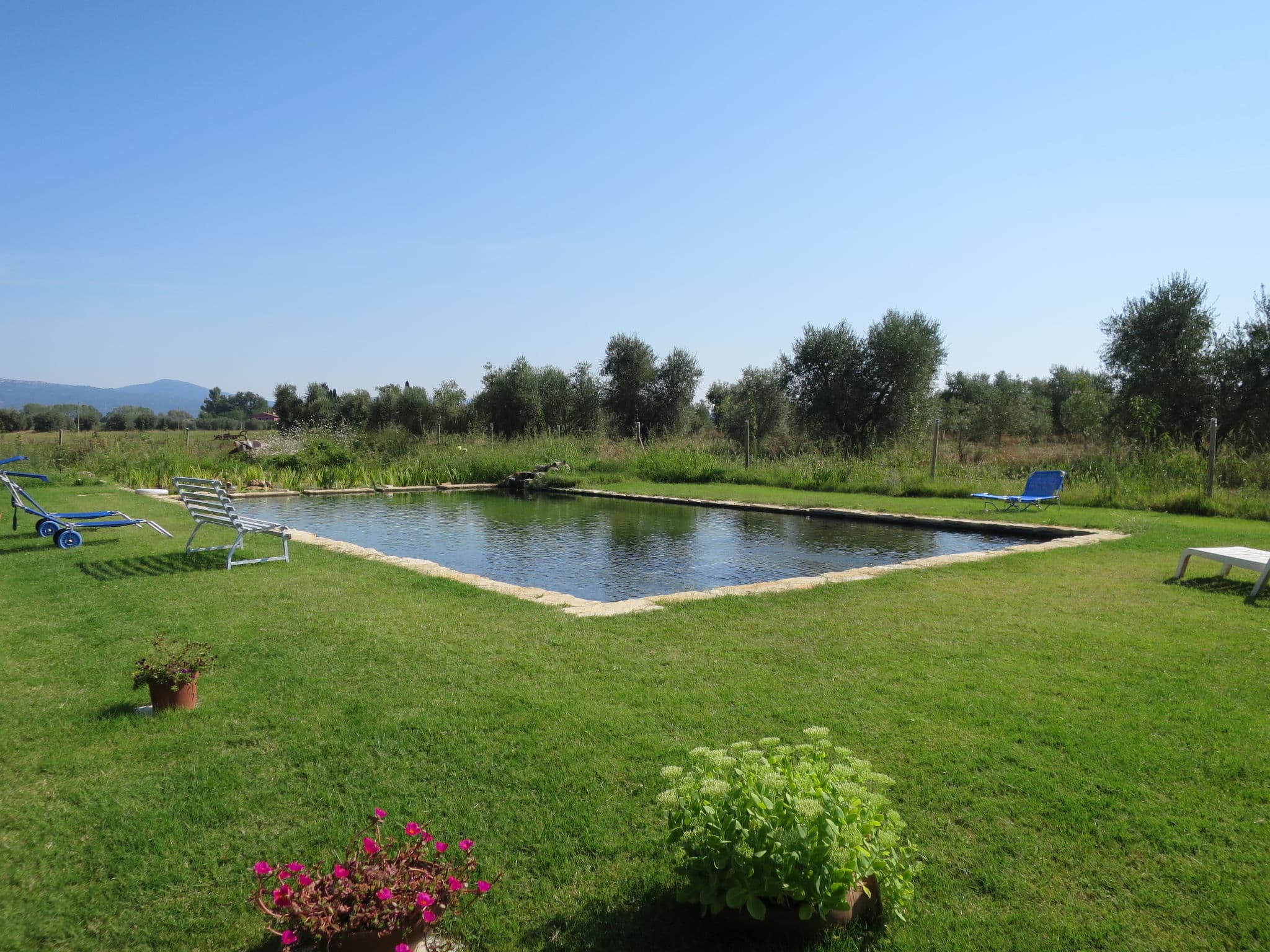 Pool Outdoor