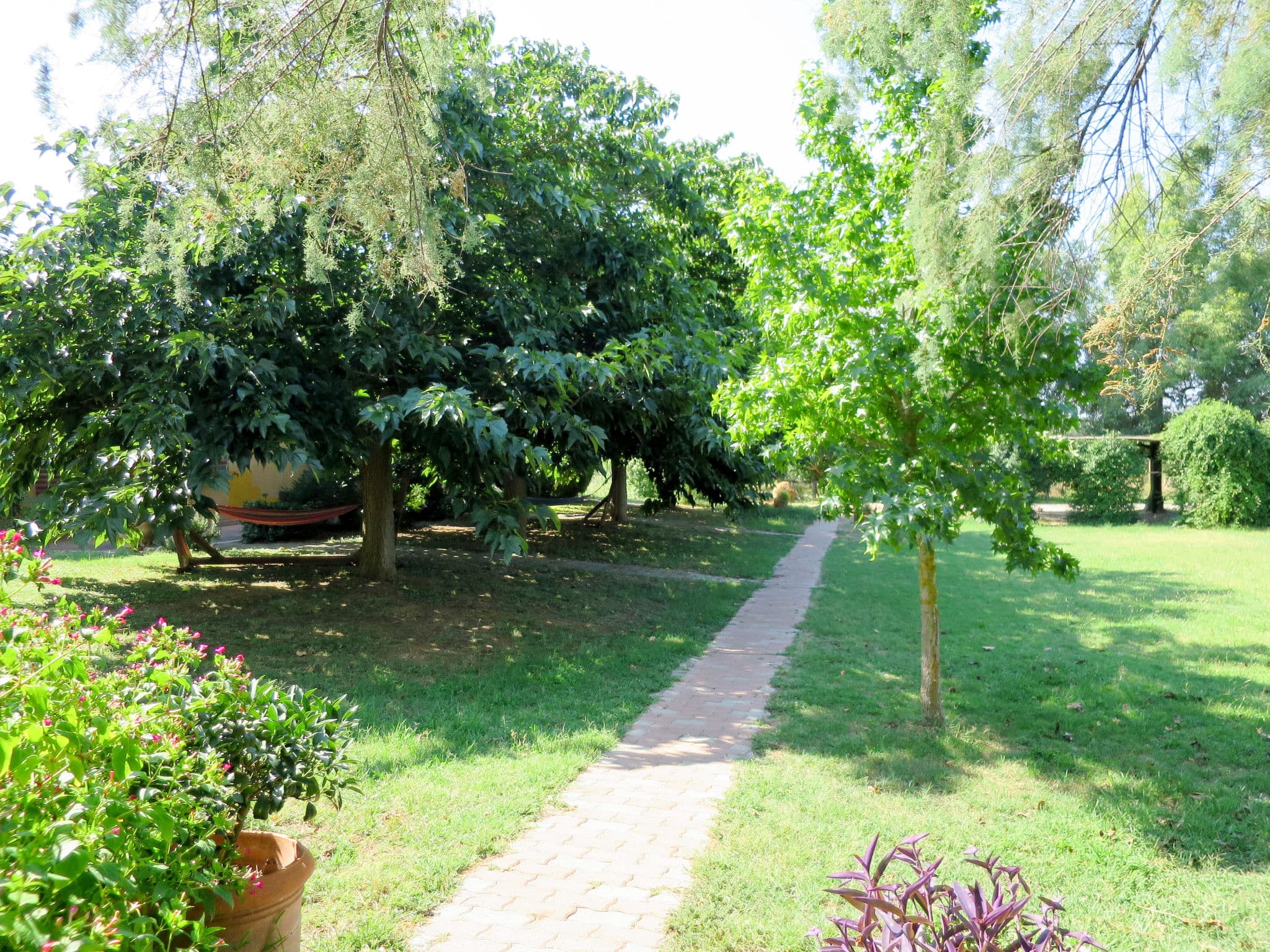Outdoor