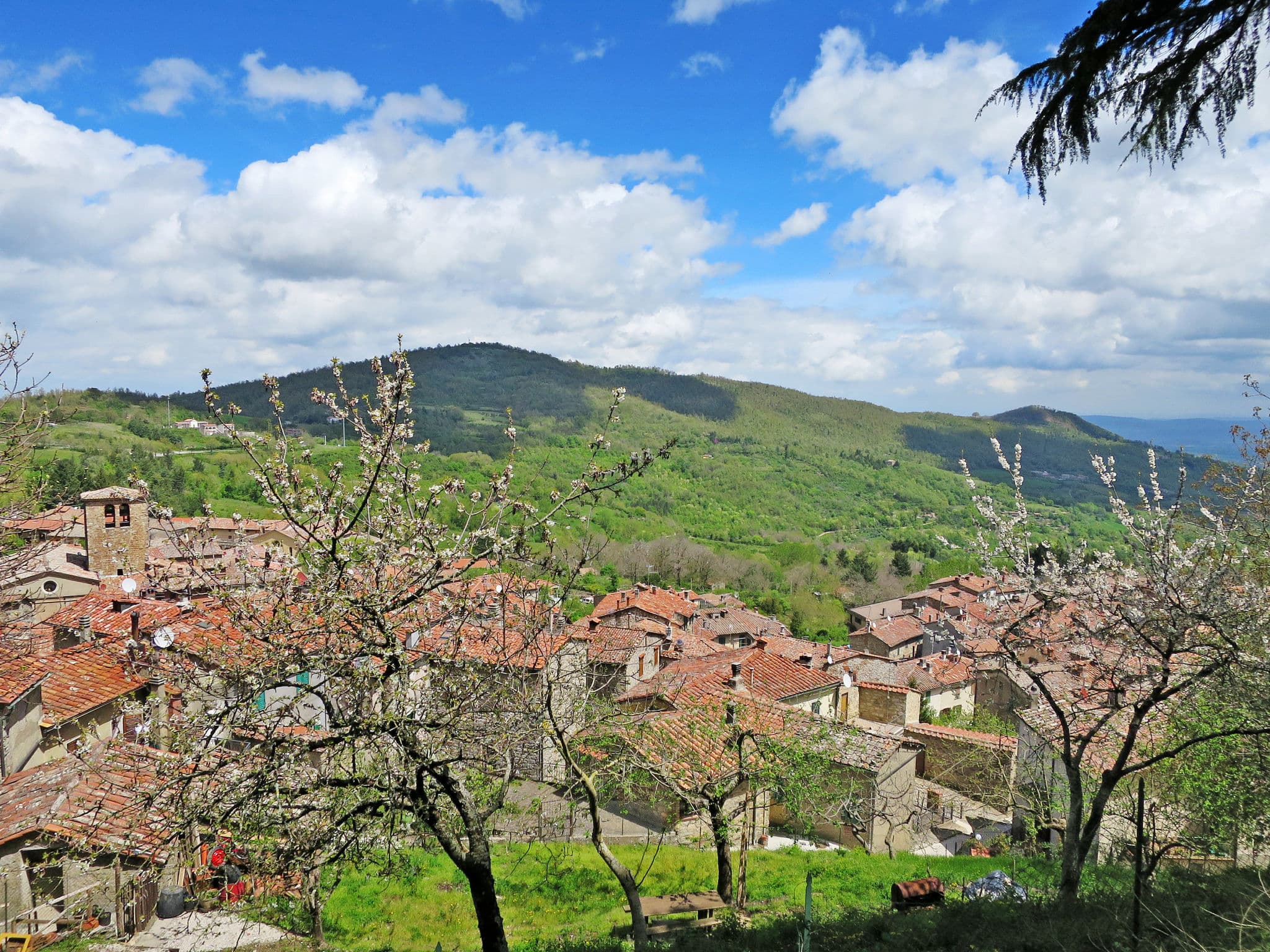 Place