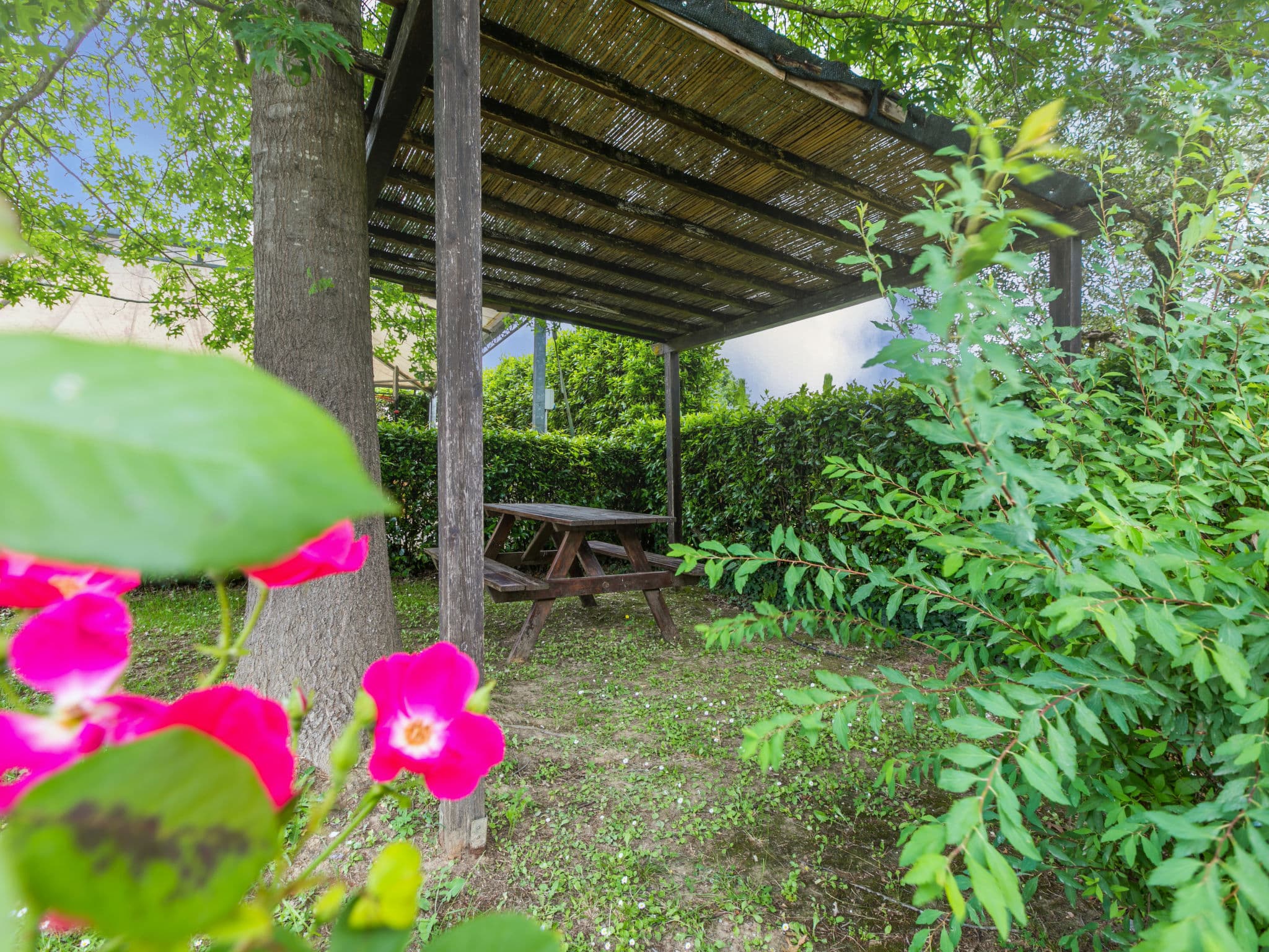 Outdoor