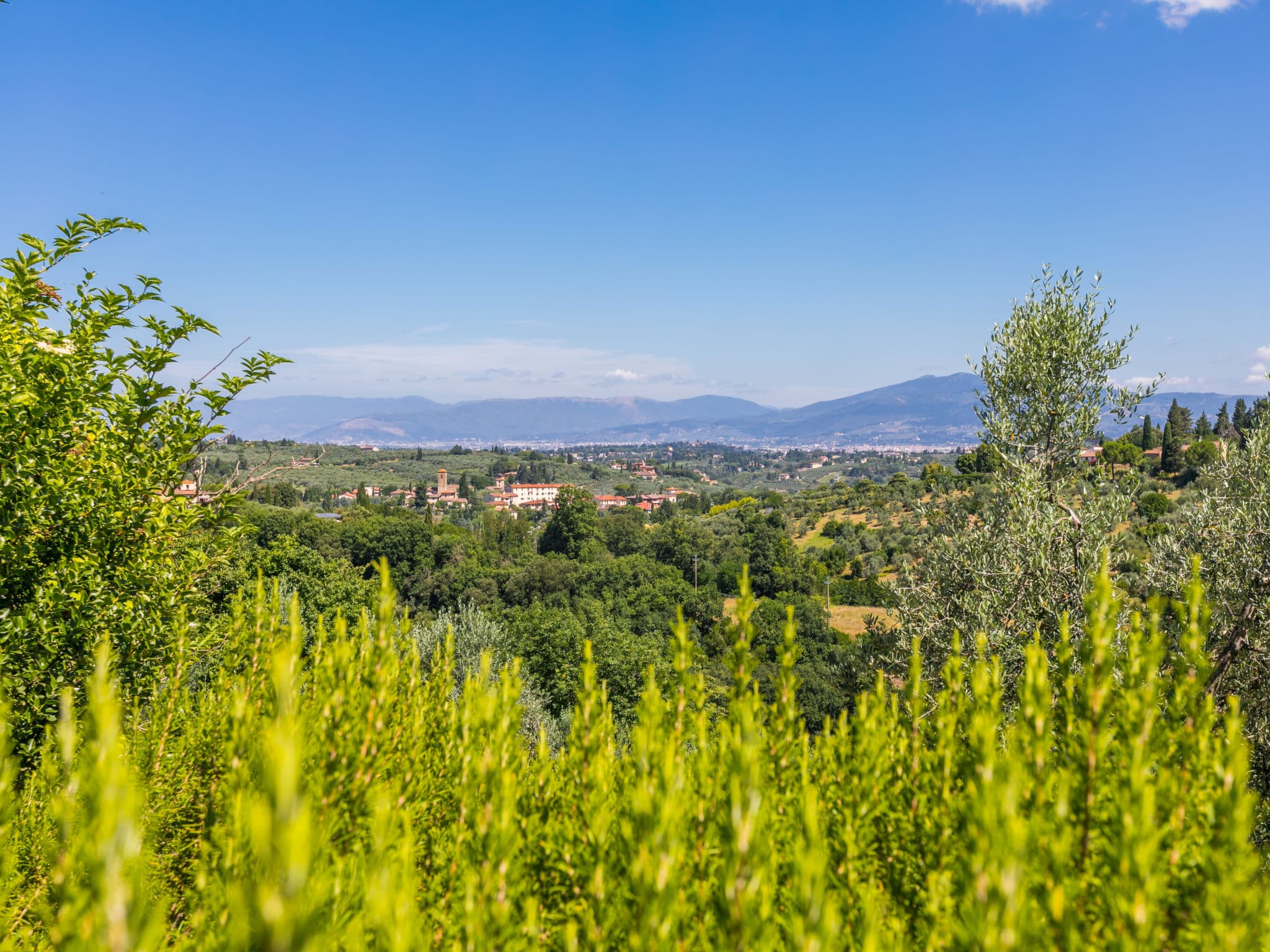 View