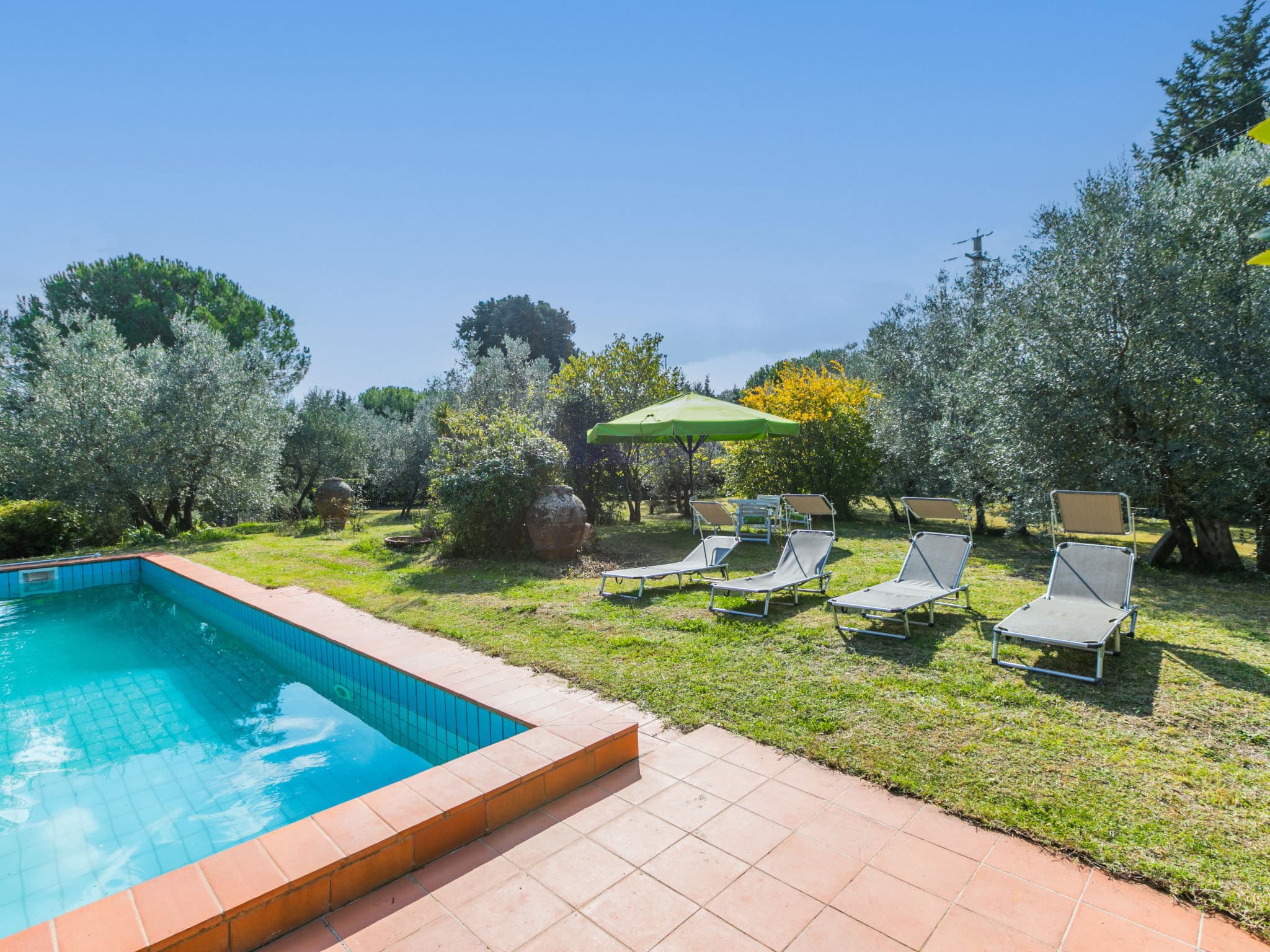Pool Outdoor