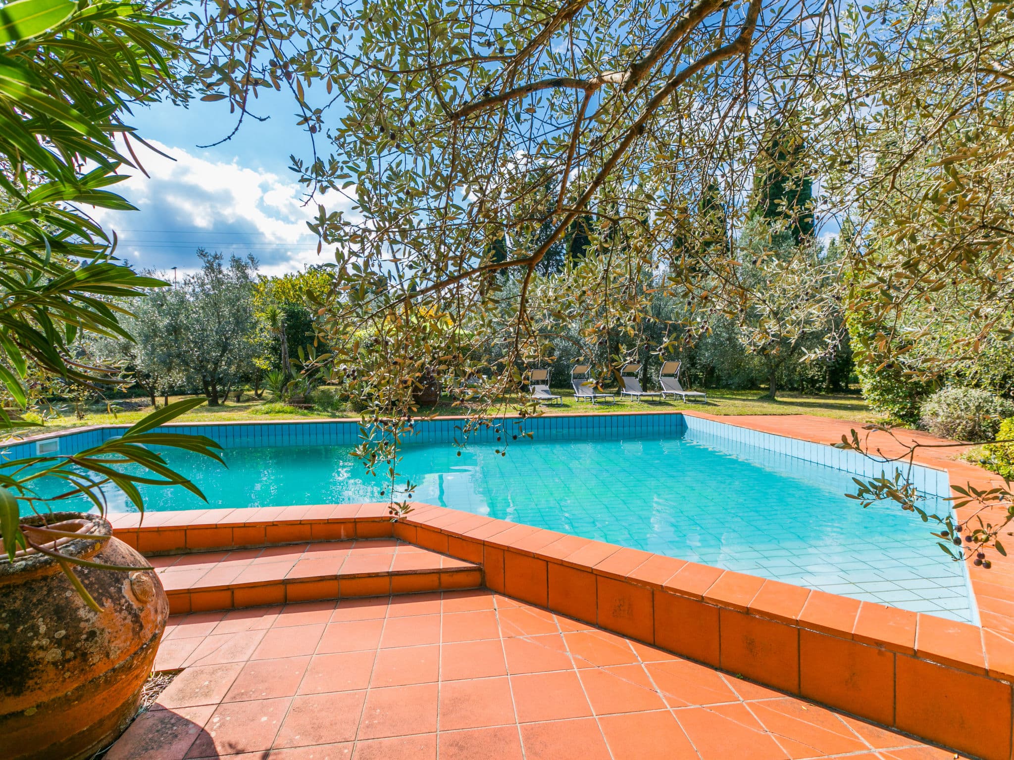 Pool Outdoor