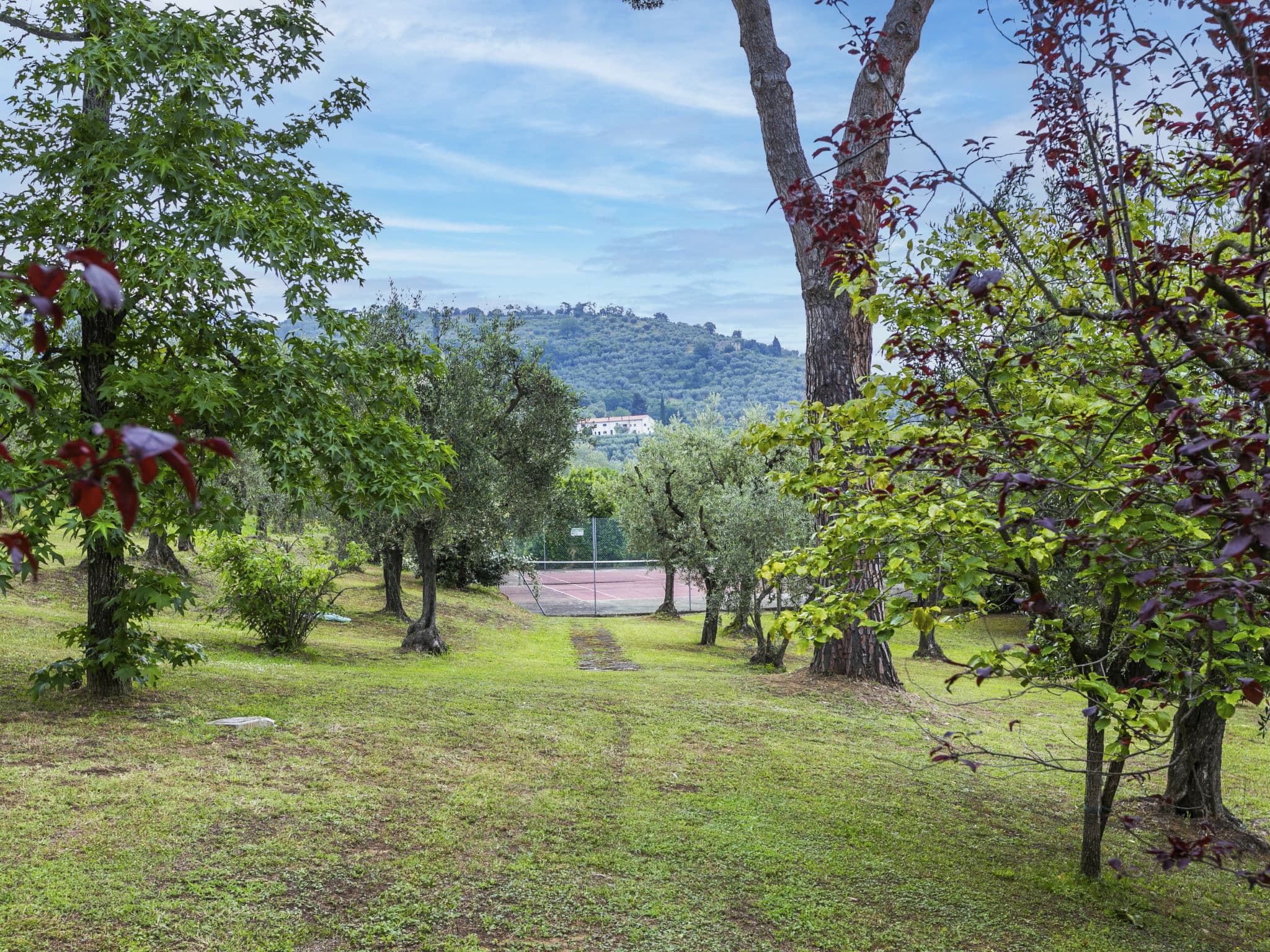 Outdoor