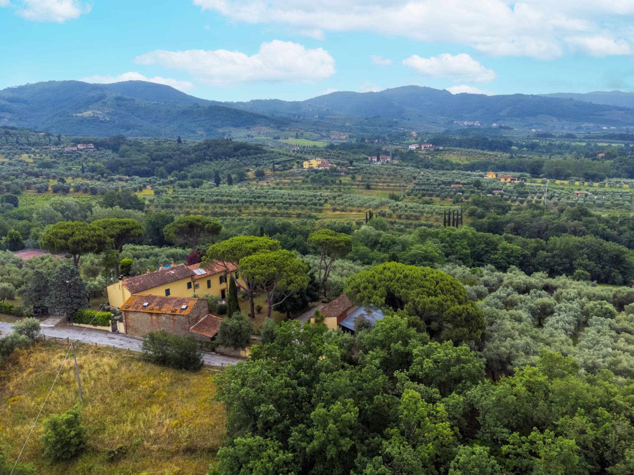 Aerial photography
