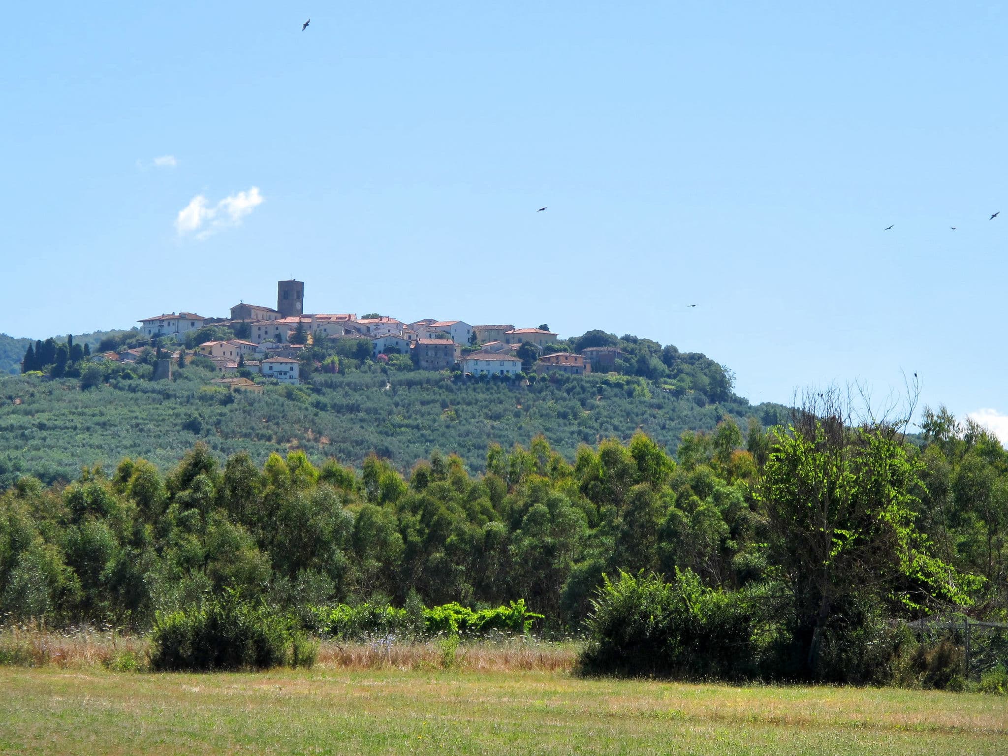 Place