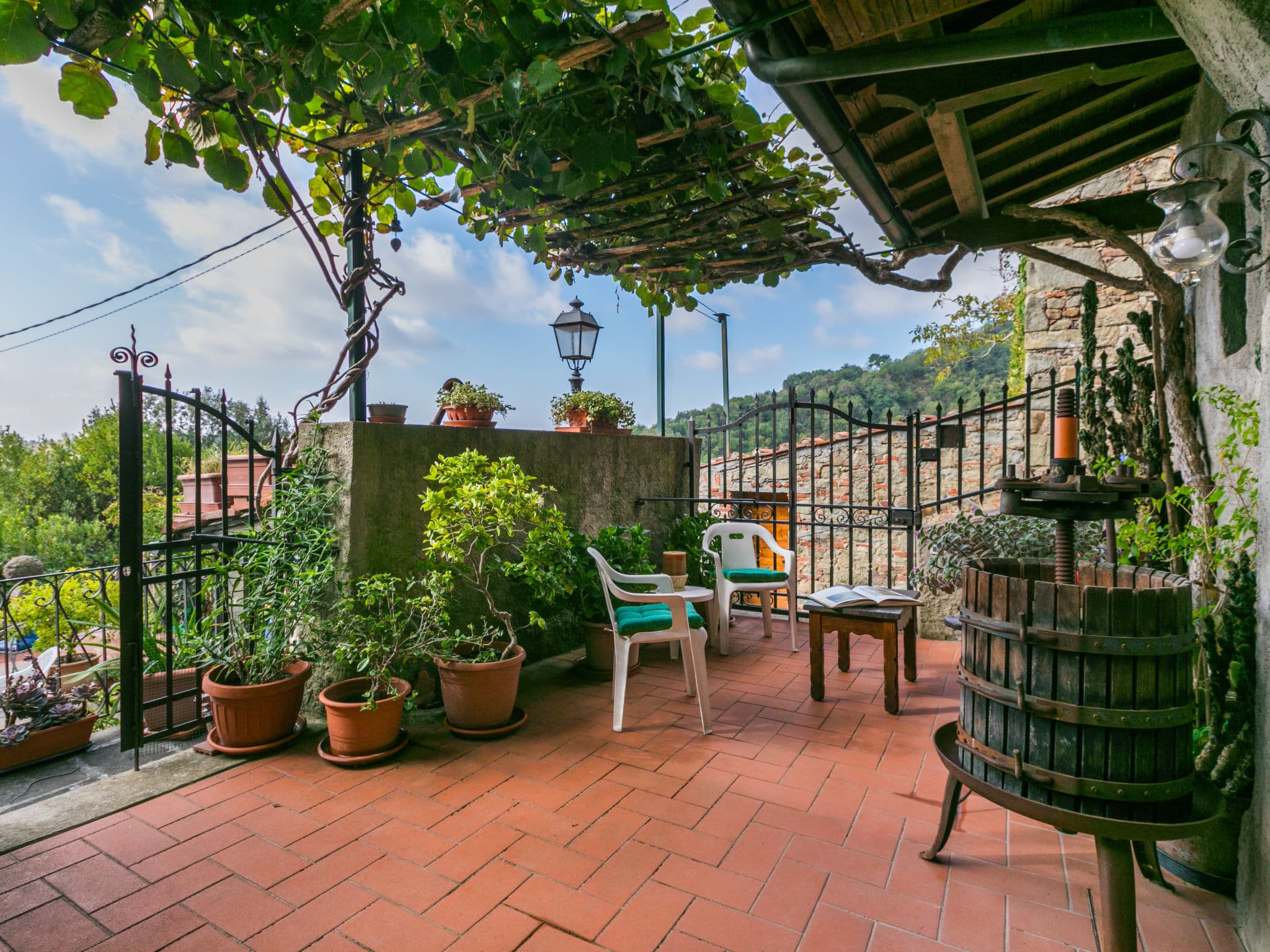 Terrace