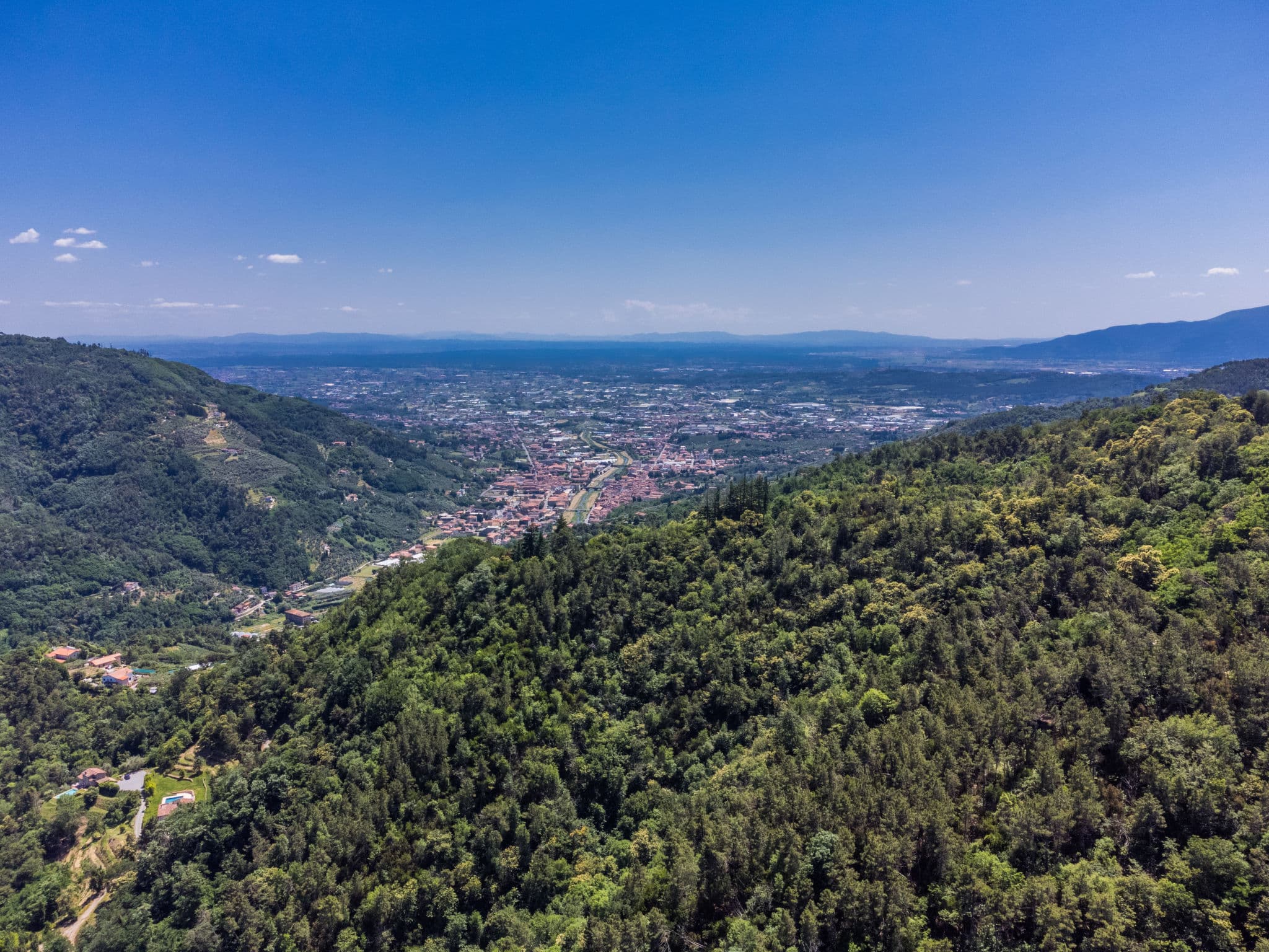 View