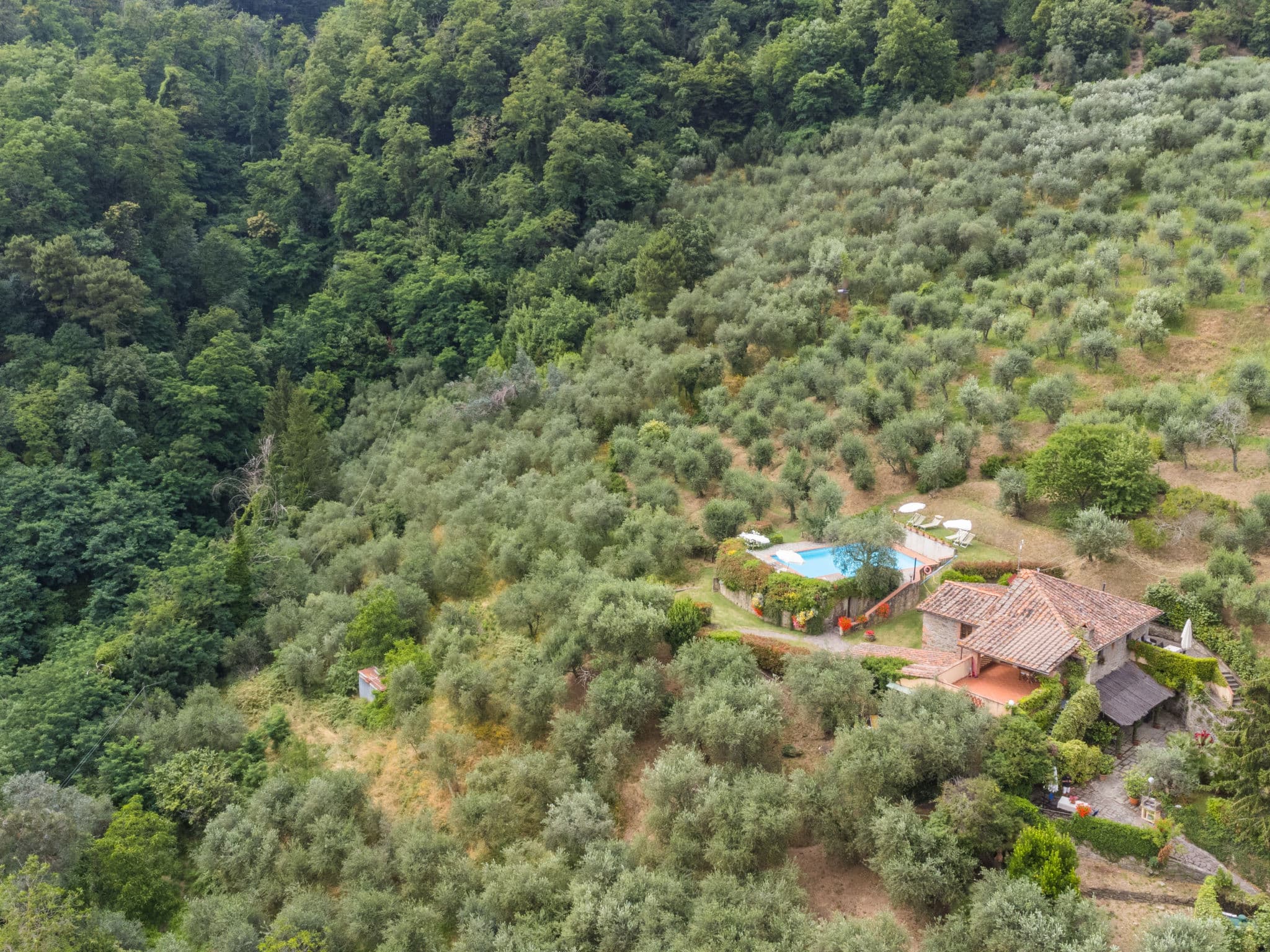 Aerial photography