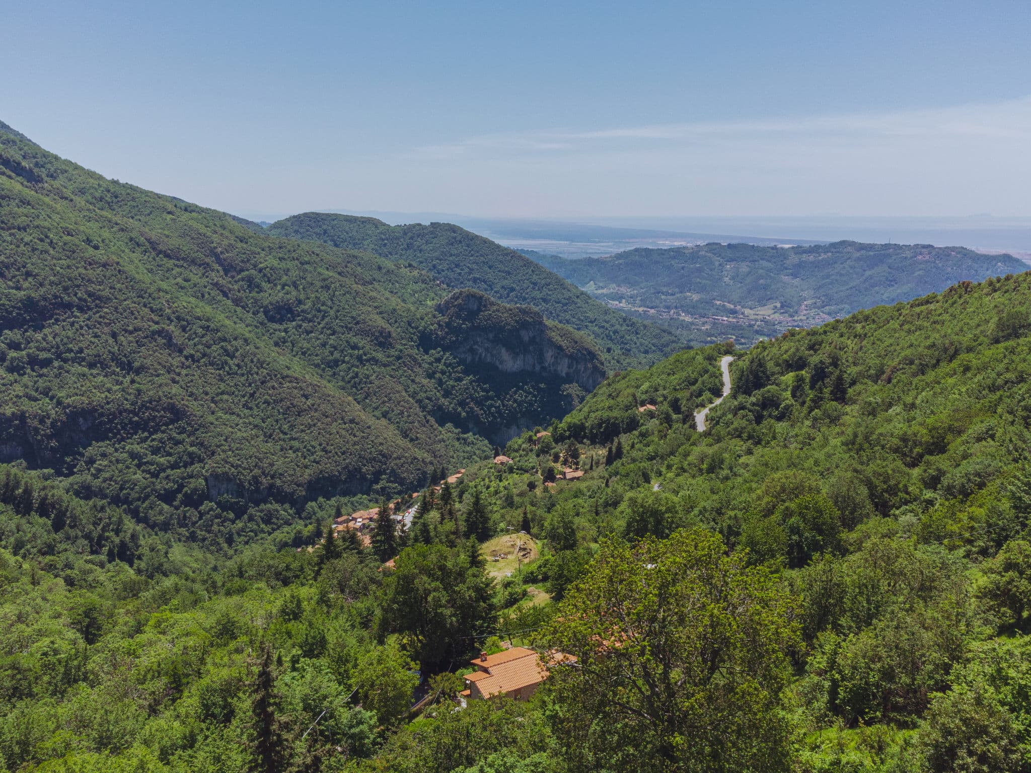 View