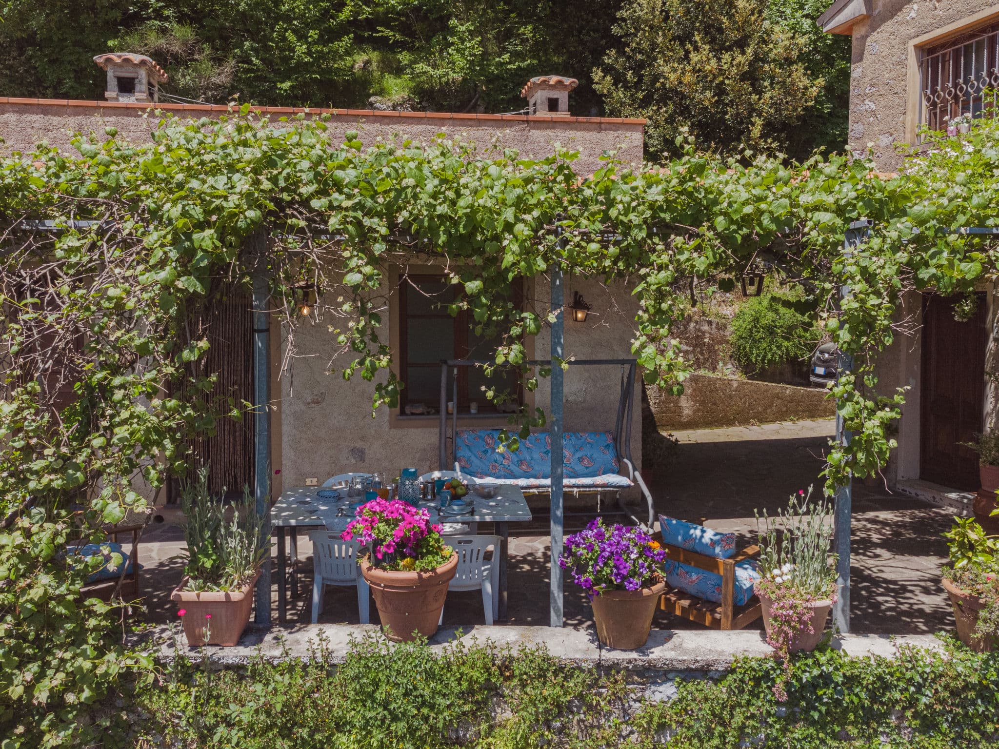 Terrace