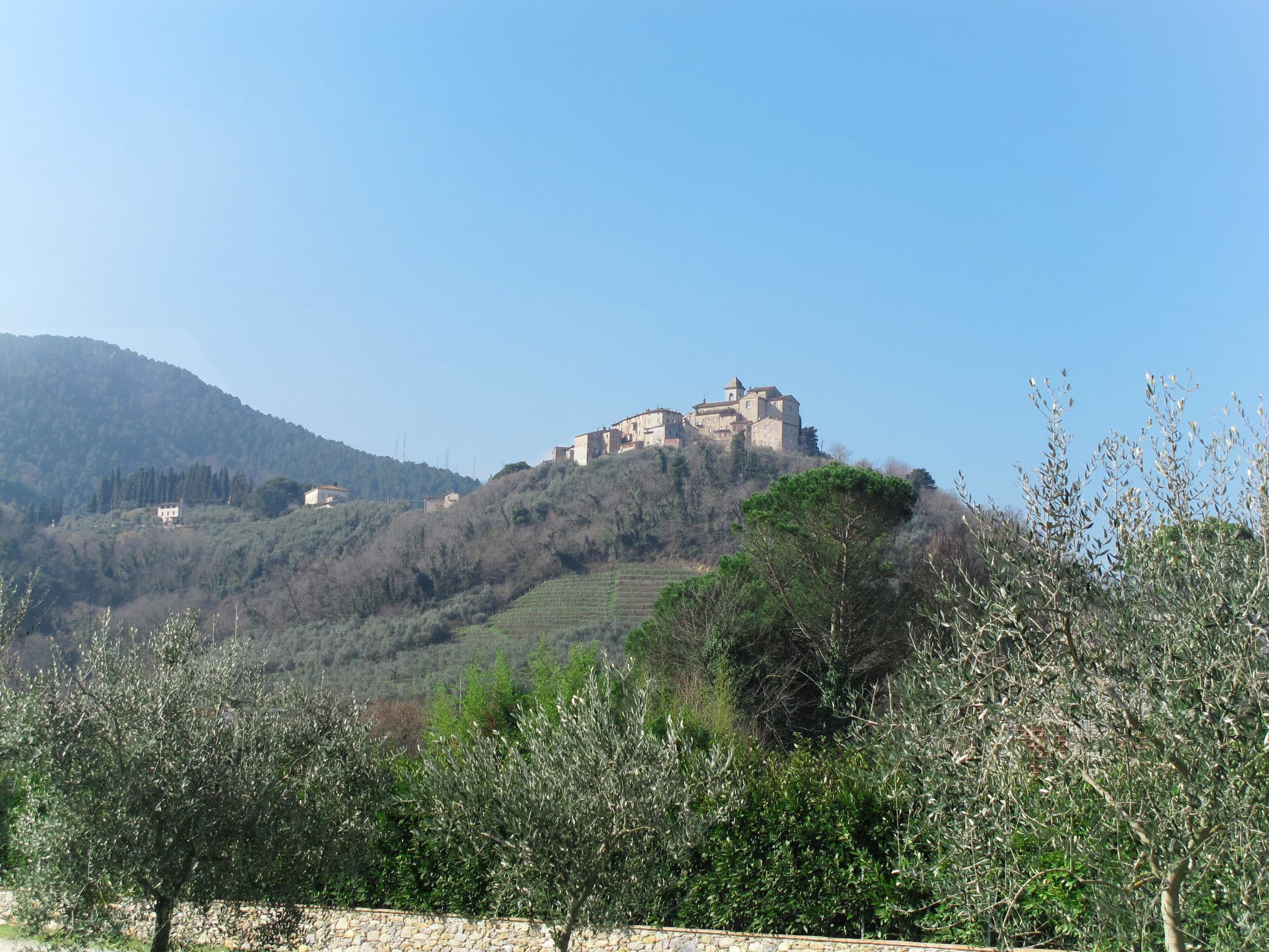 View