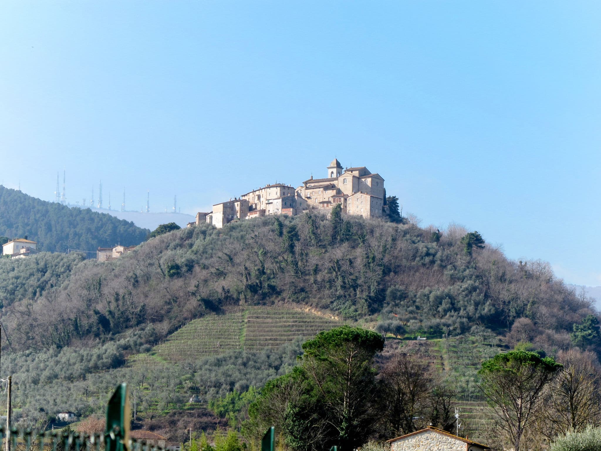 View
