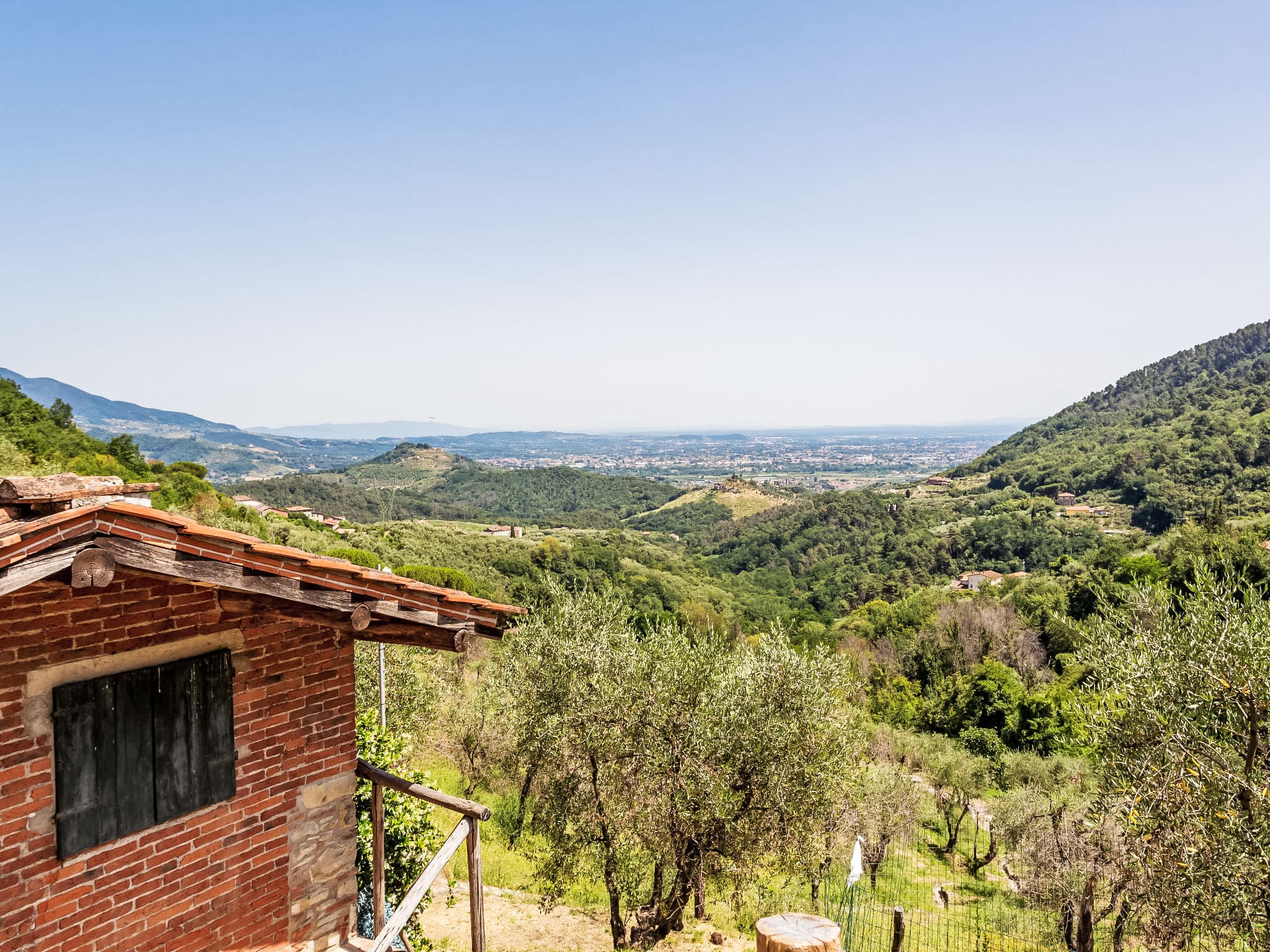 View