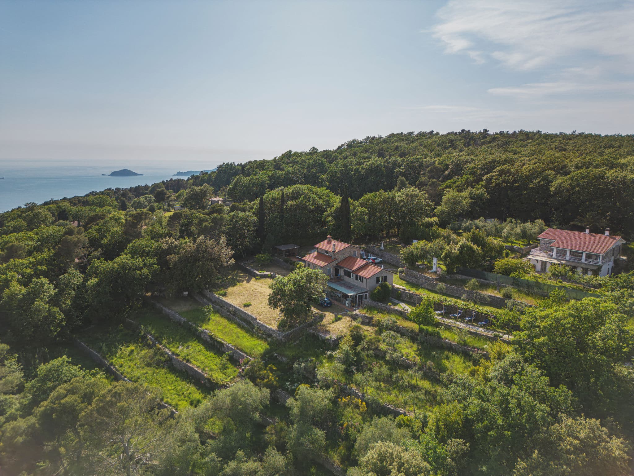 Aerial photography