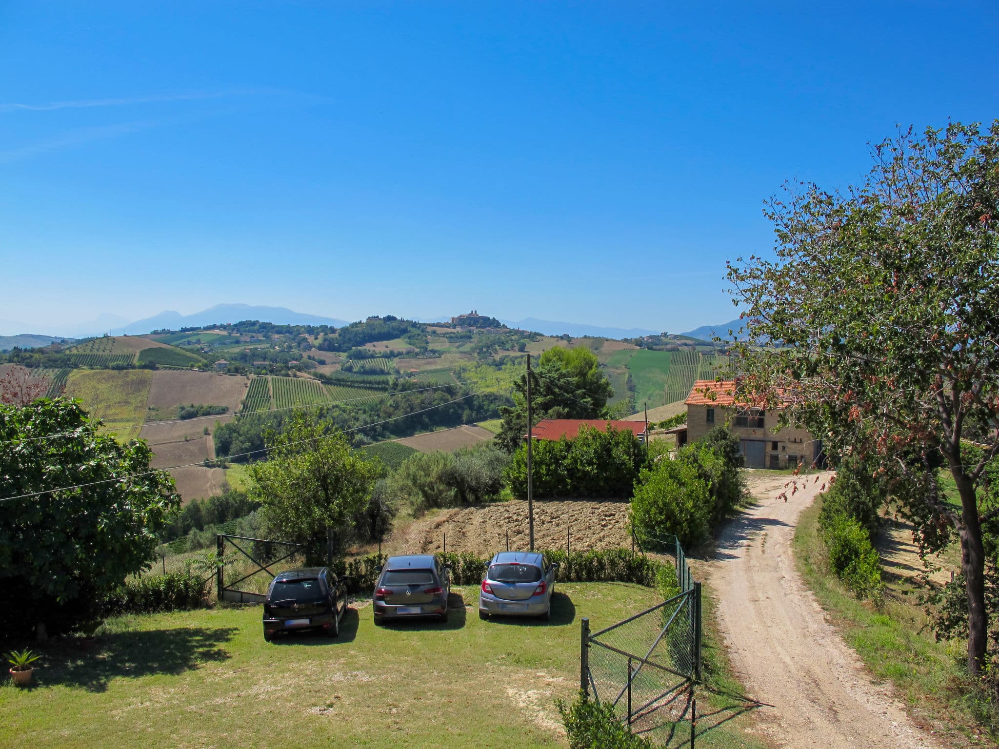 View