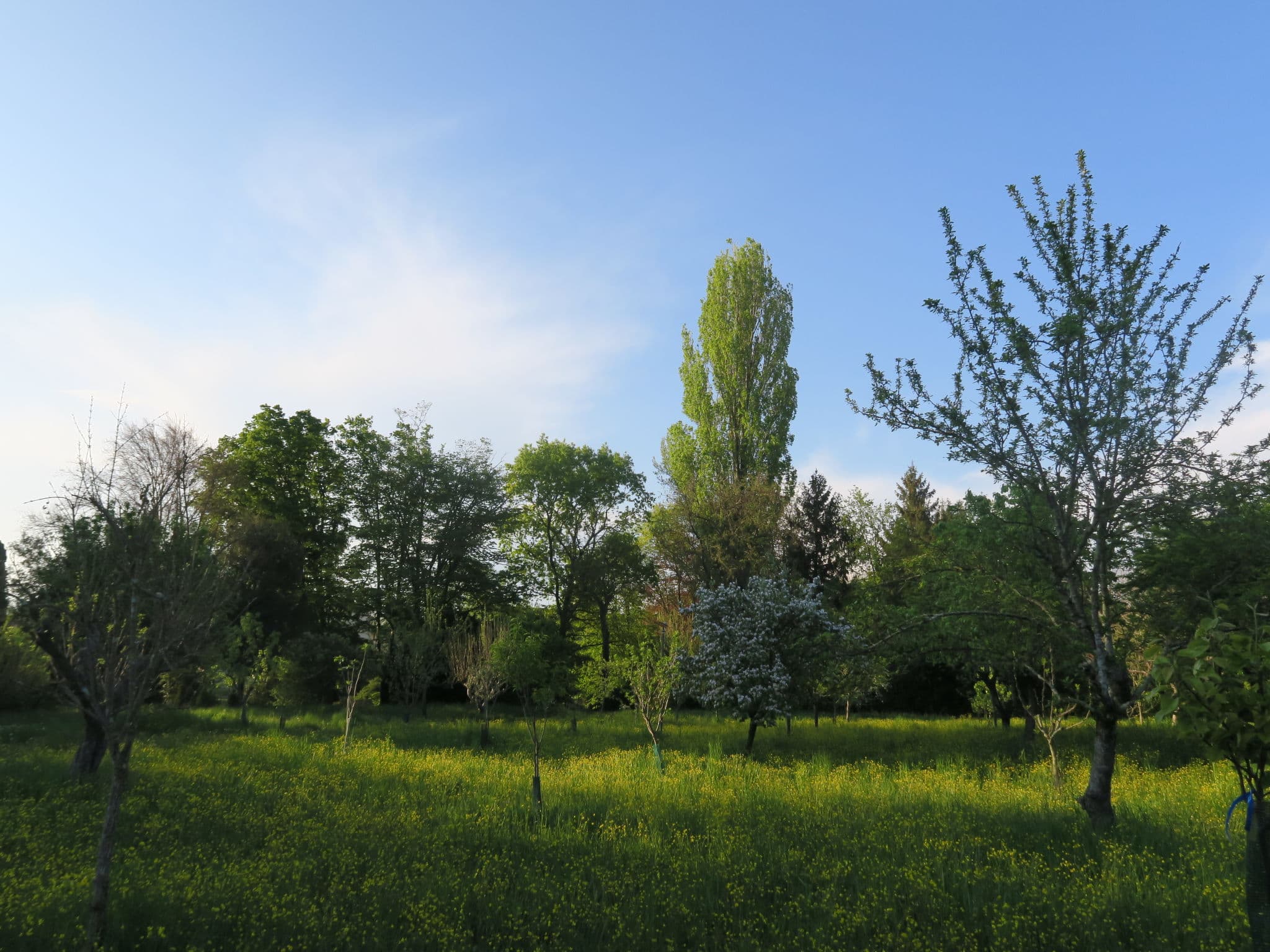 Place