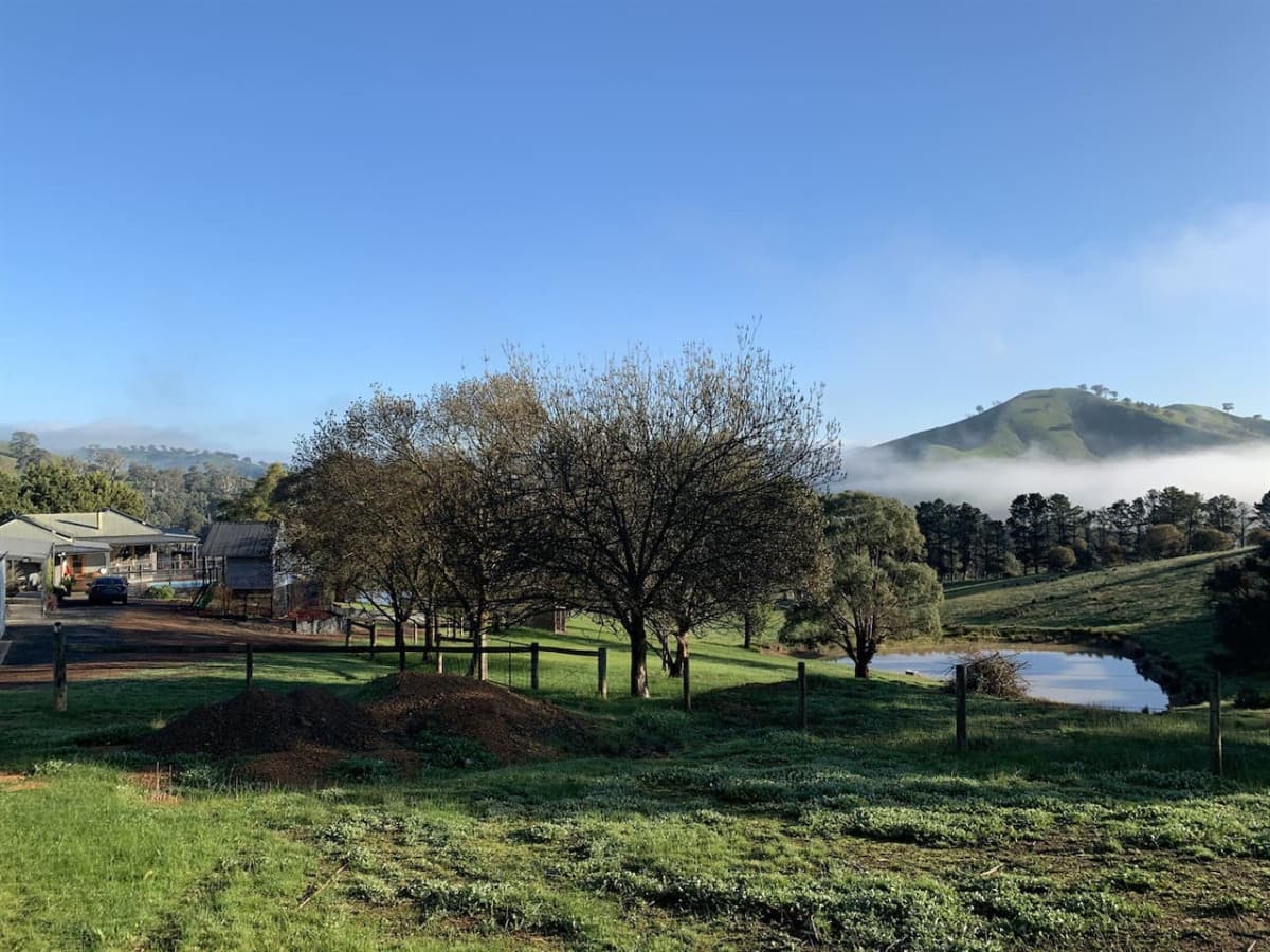 Winter's morning mist rising over Lake Eildon