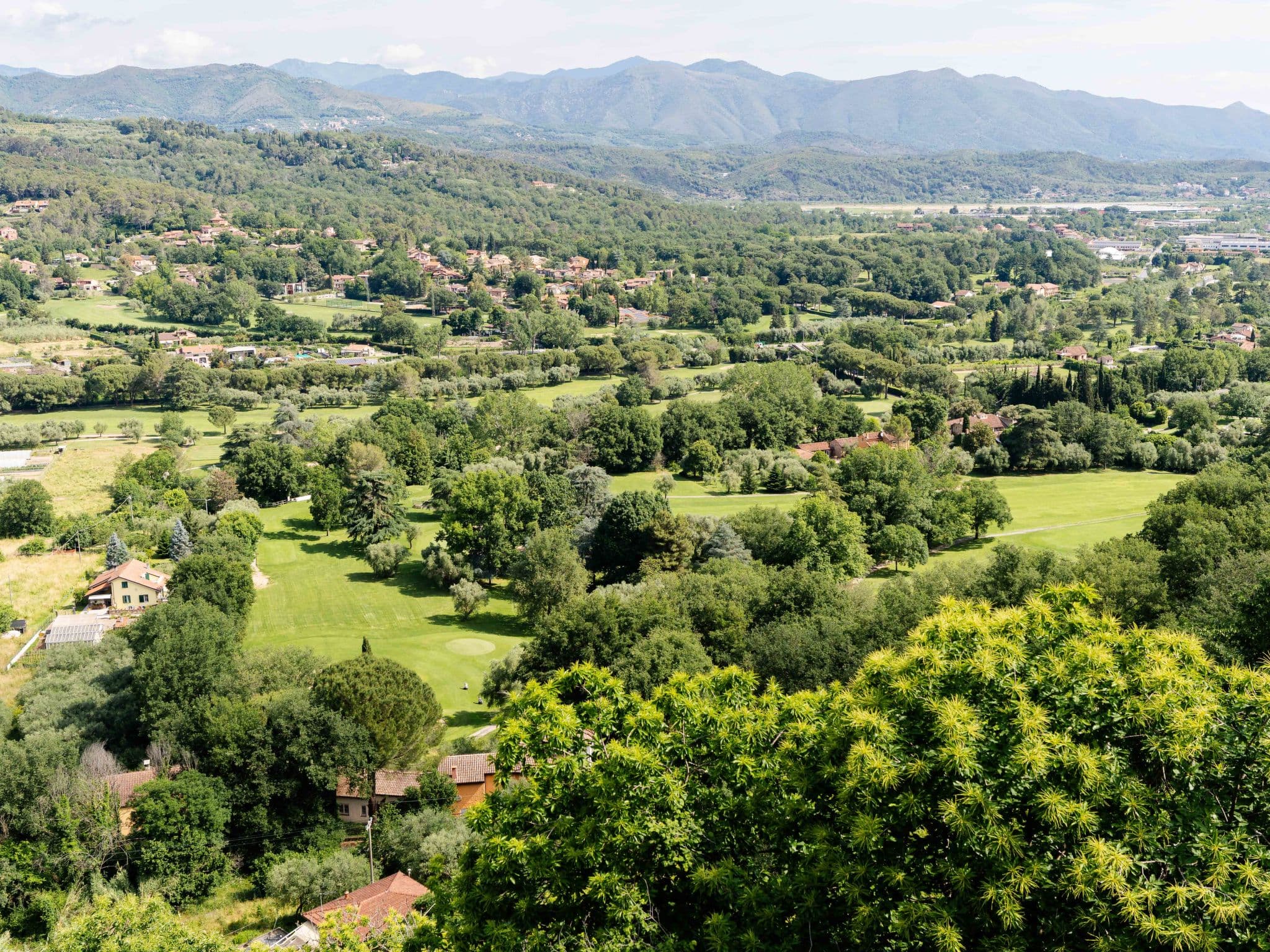 View