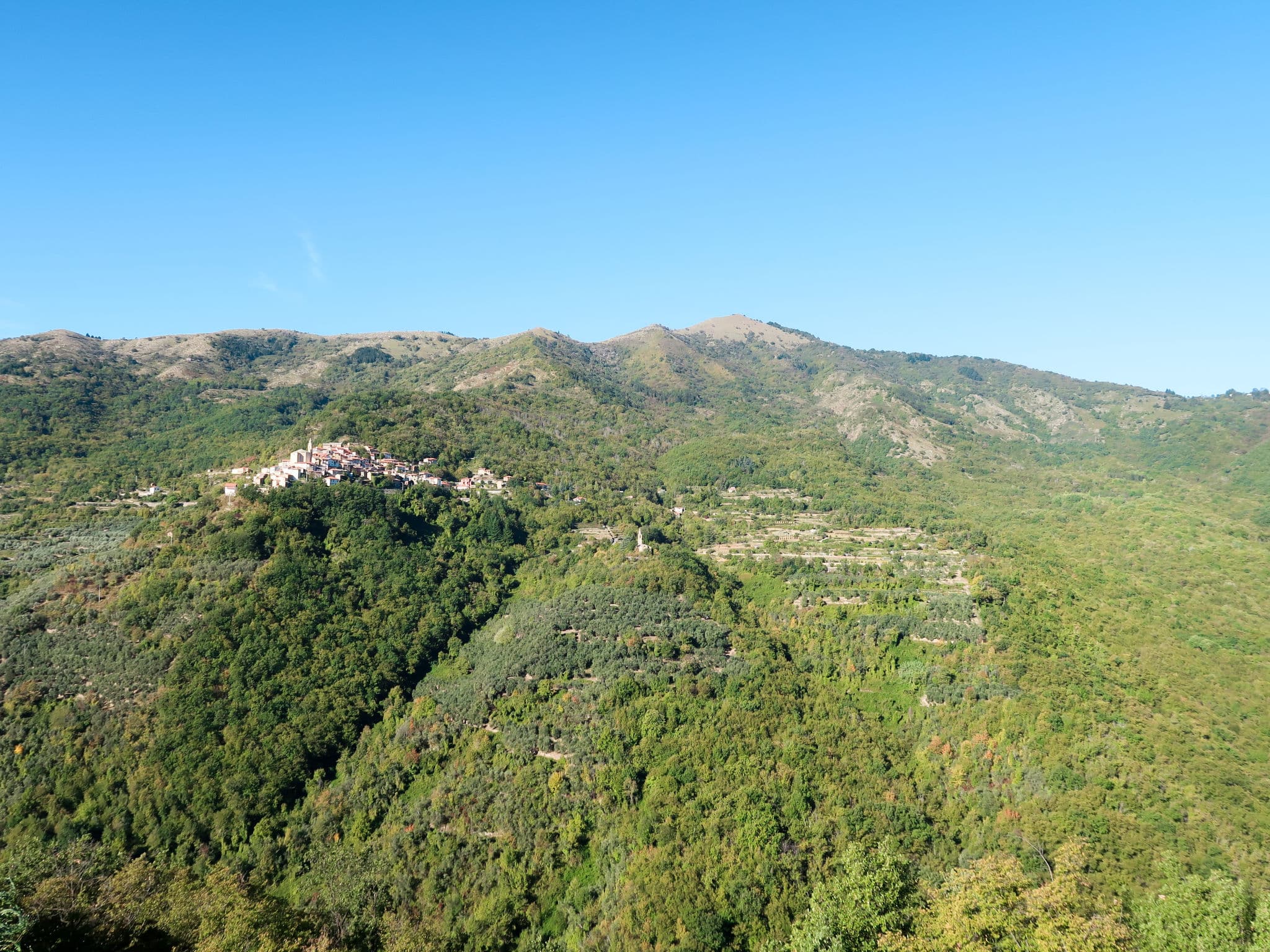 View