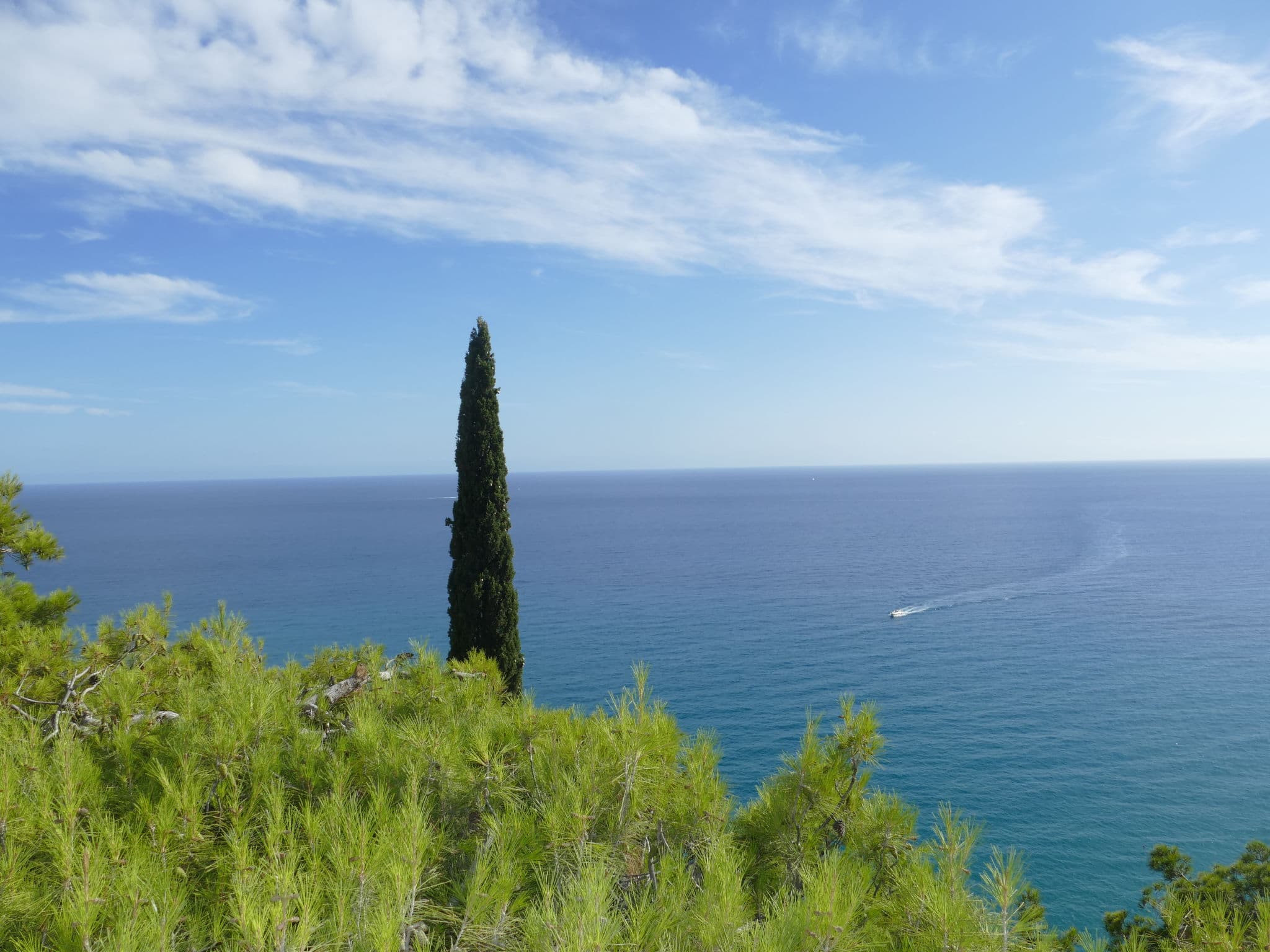 View