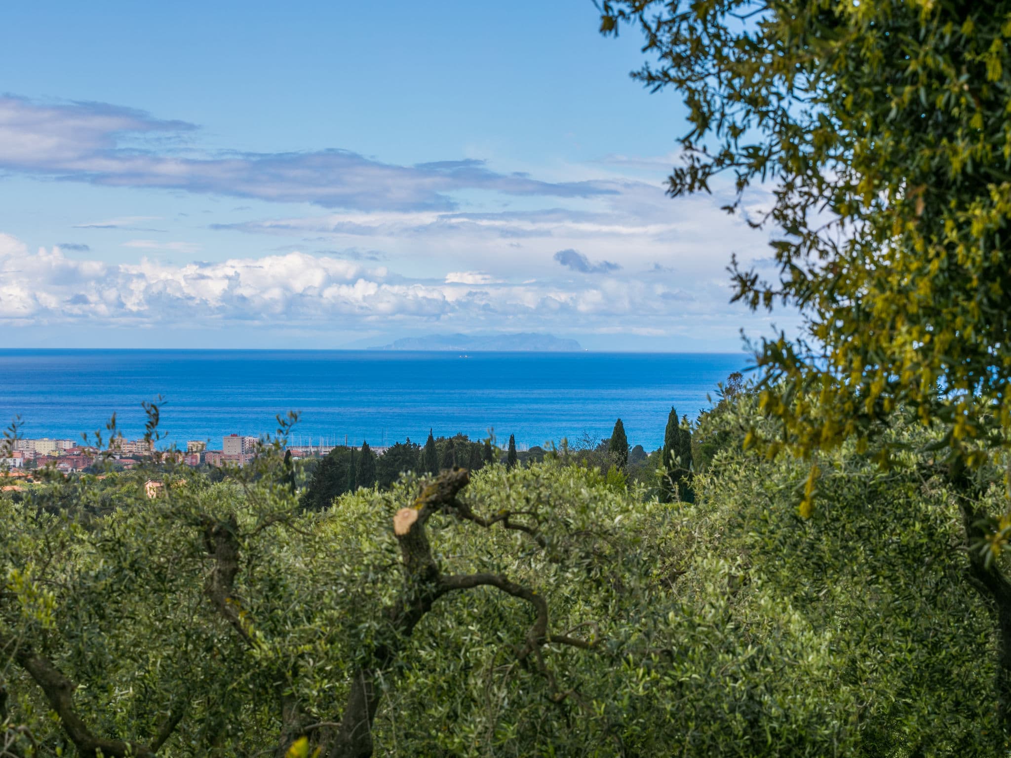 View