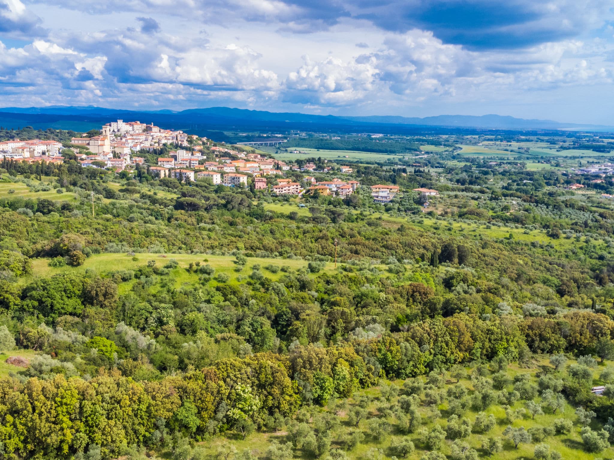 View