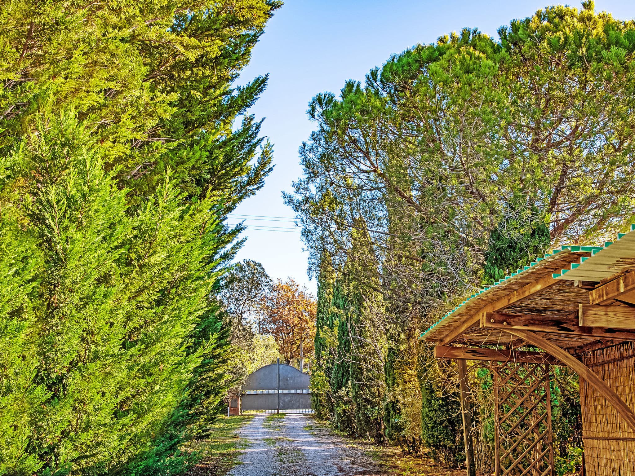 Outdoor