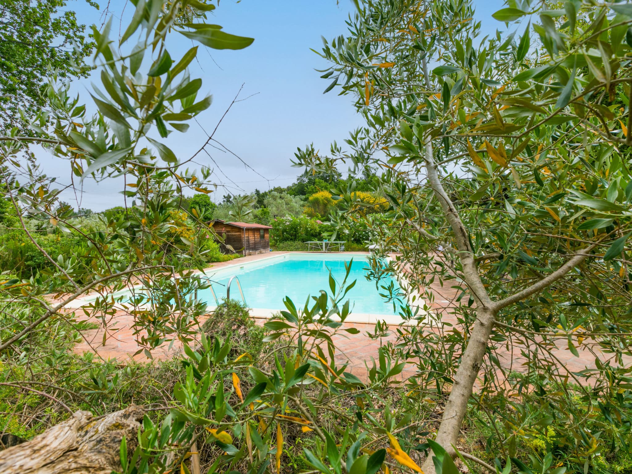 Pool Outdoor