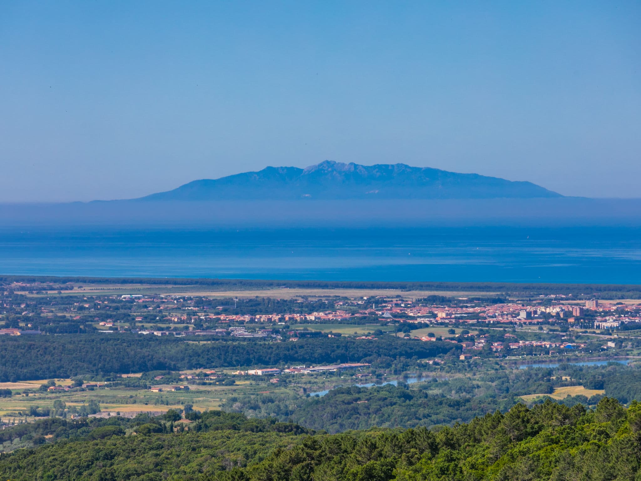 View