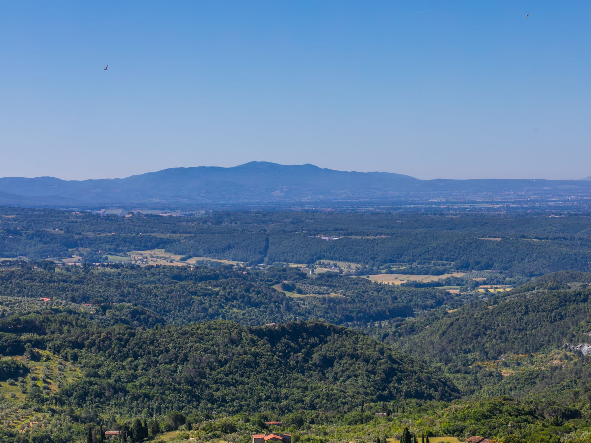 View