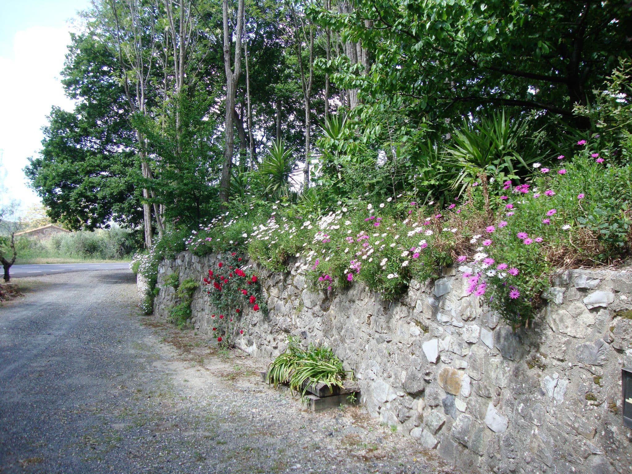 Outdoor
