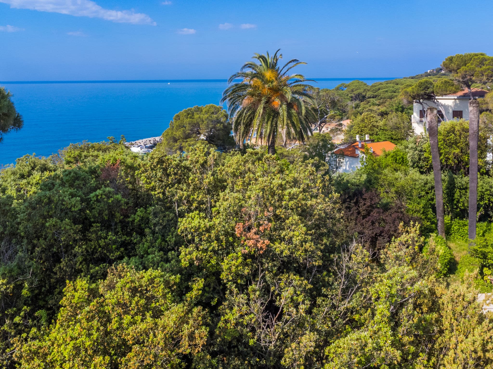 Aerial photography