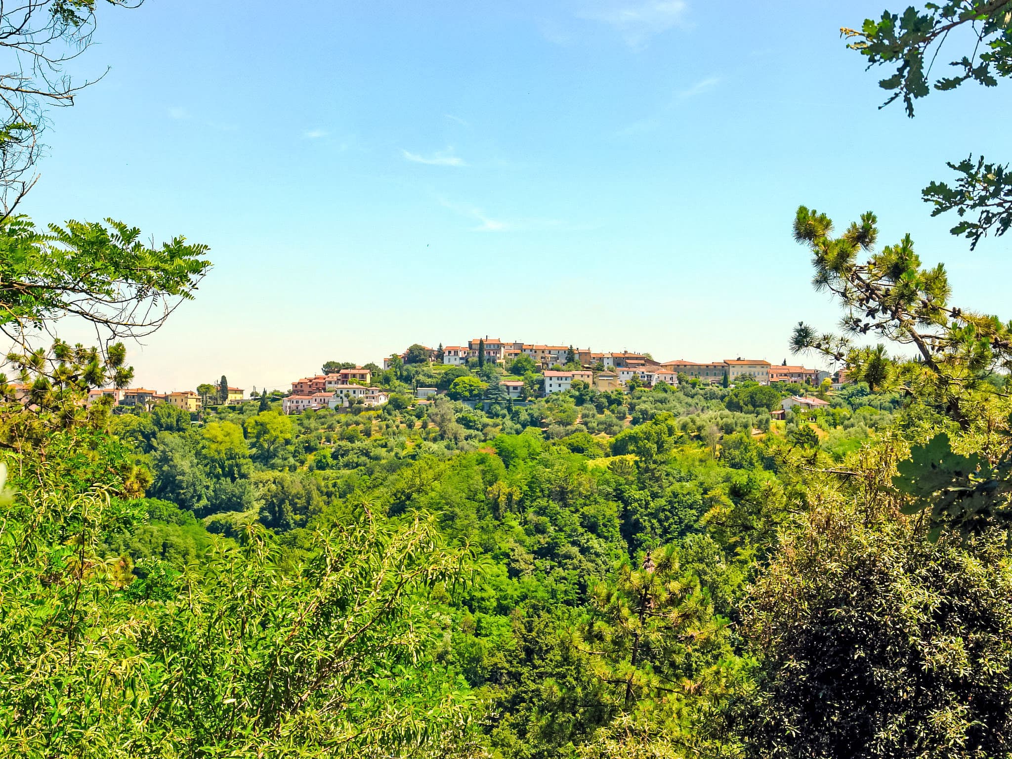 View