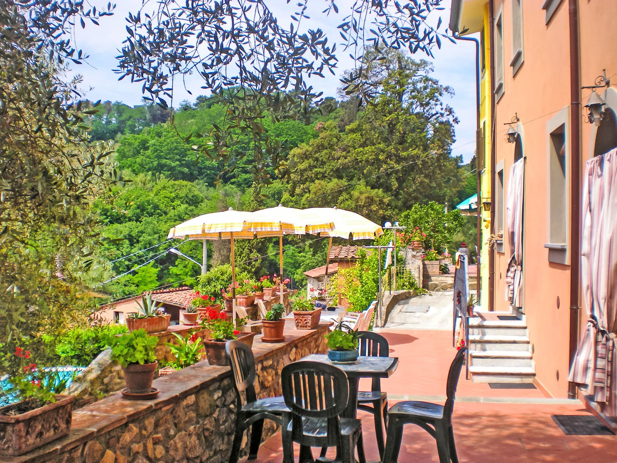 Terrace