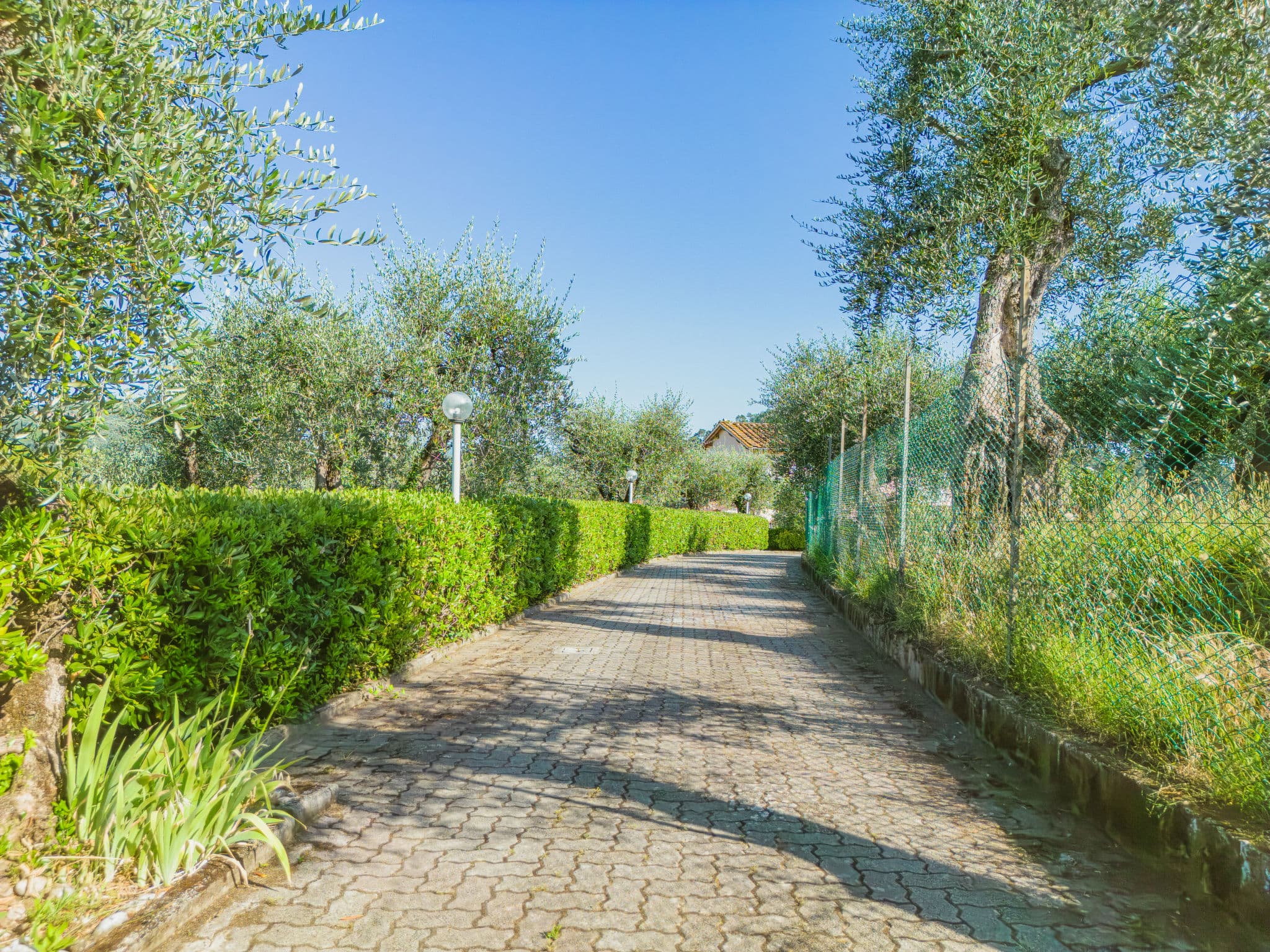 Outdoor