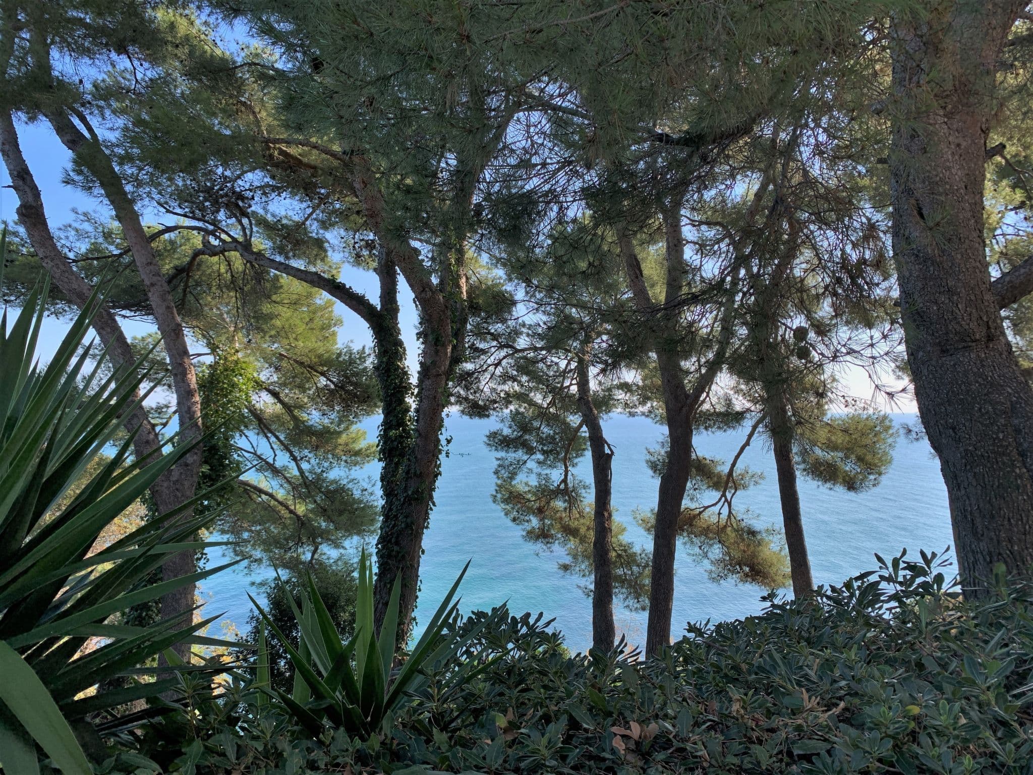 View