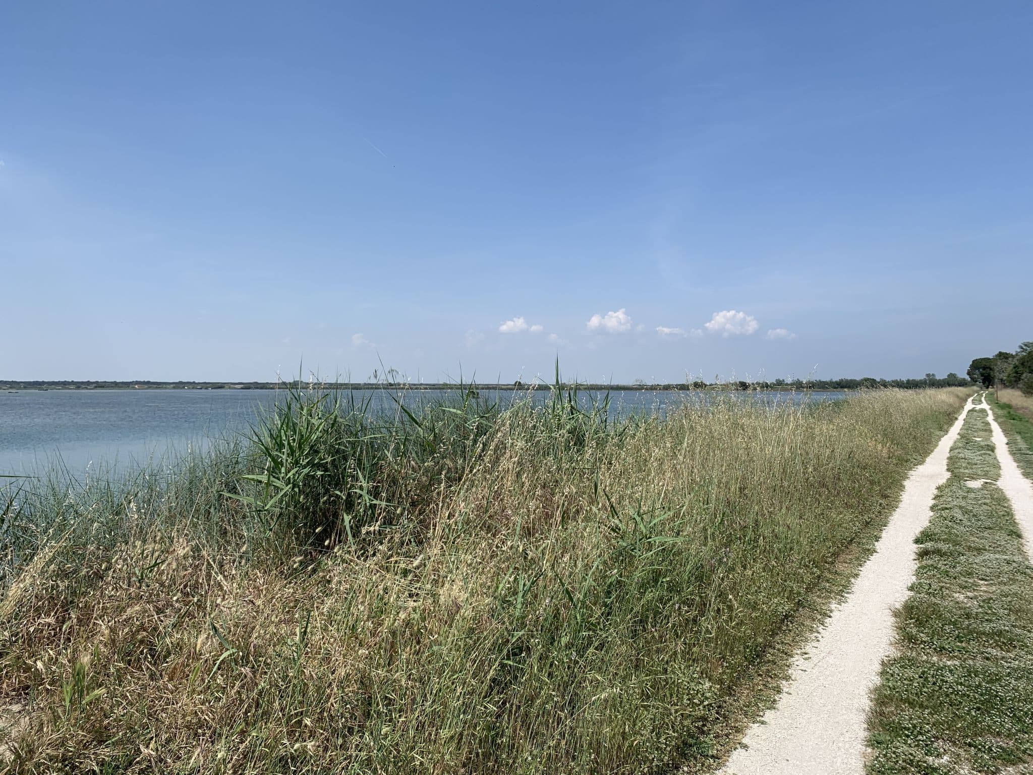 Place