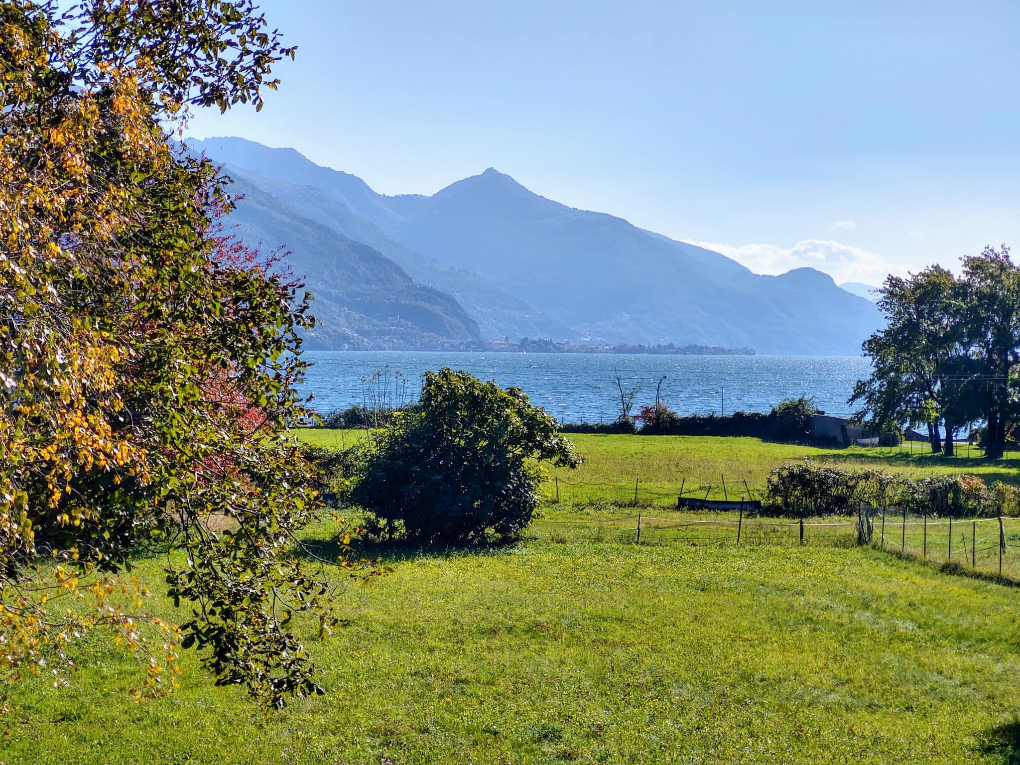 View