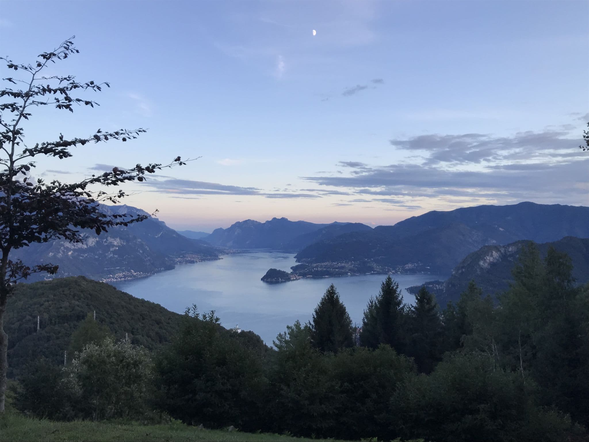 View