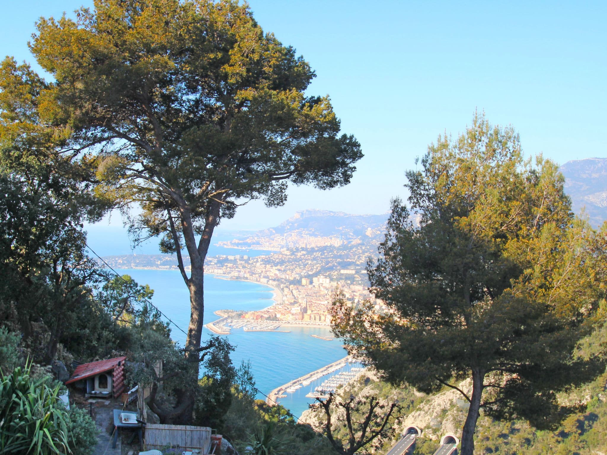 View