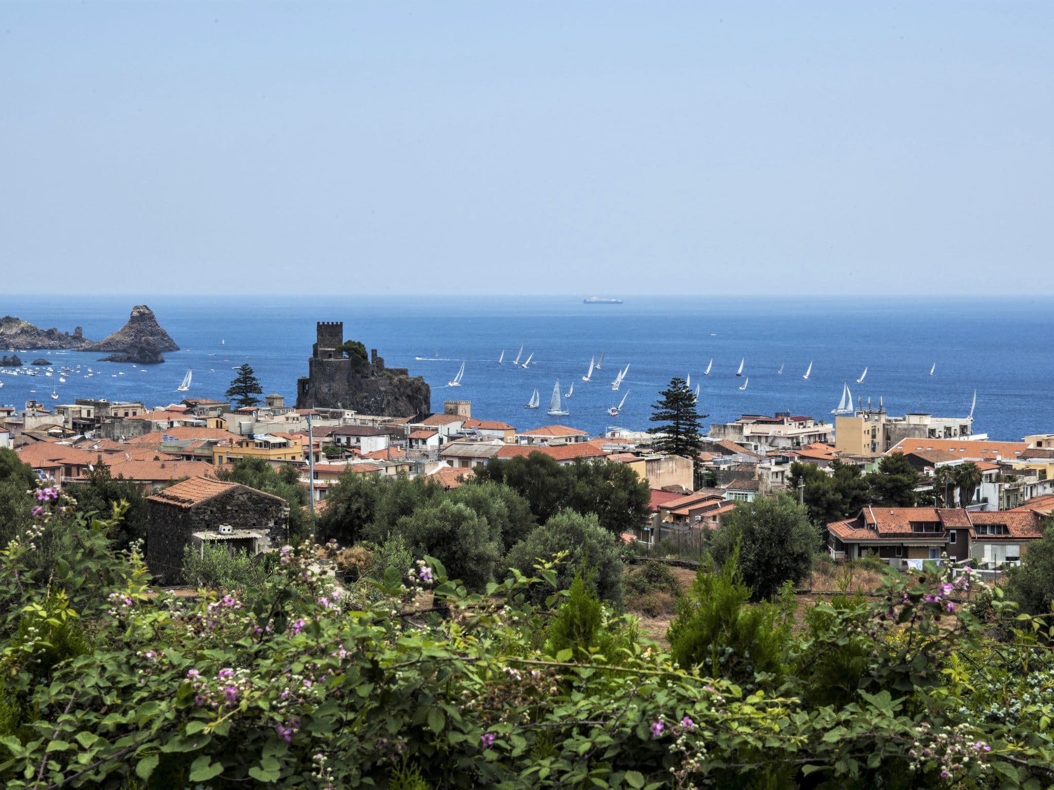 View