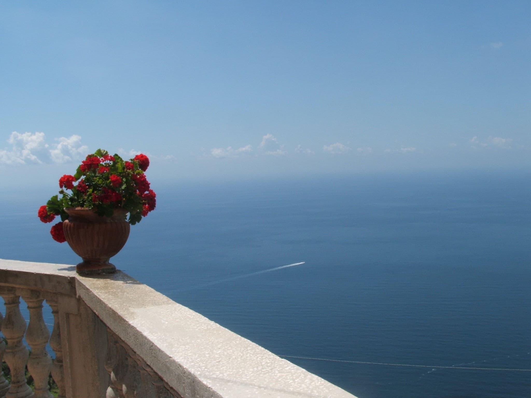 View