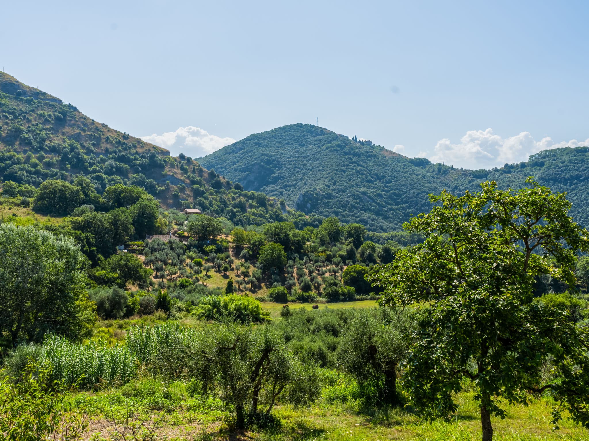 View