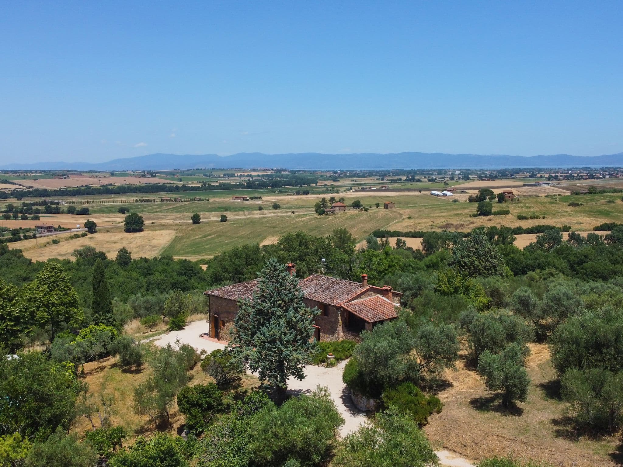 View