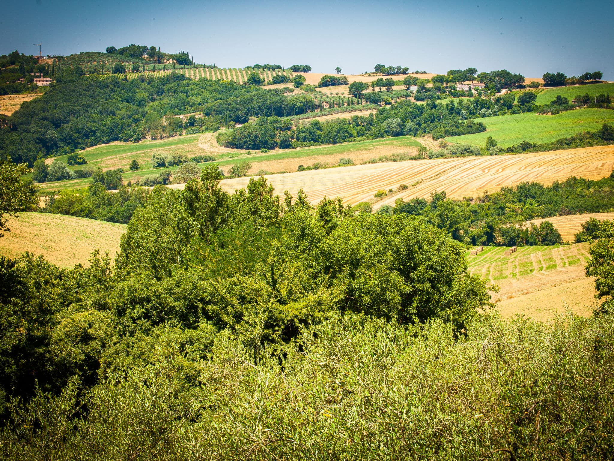 View