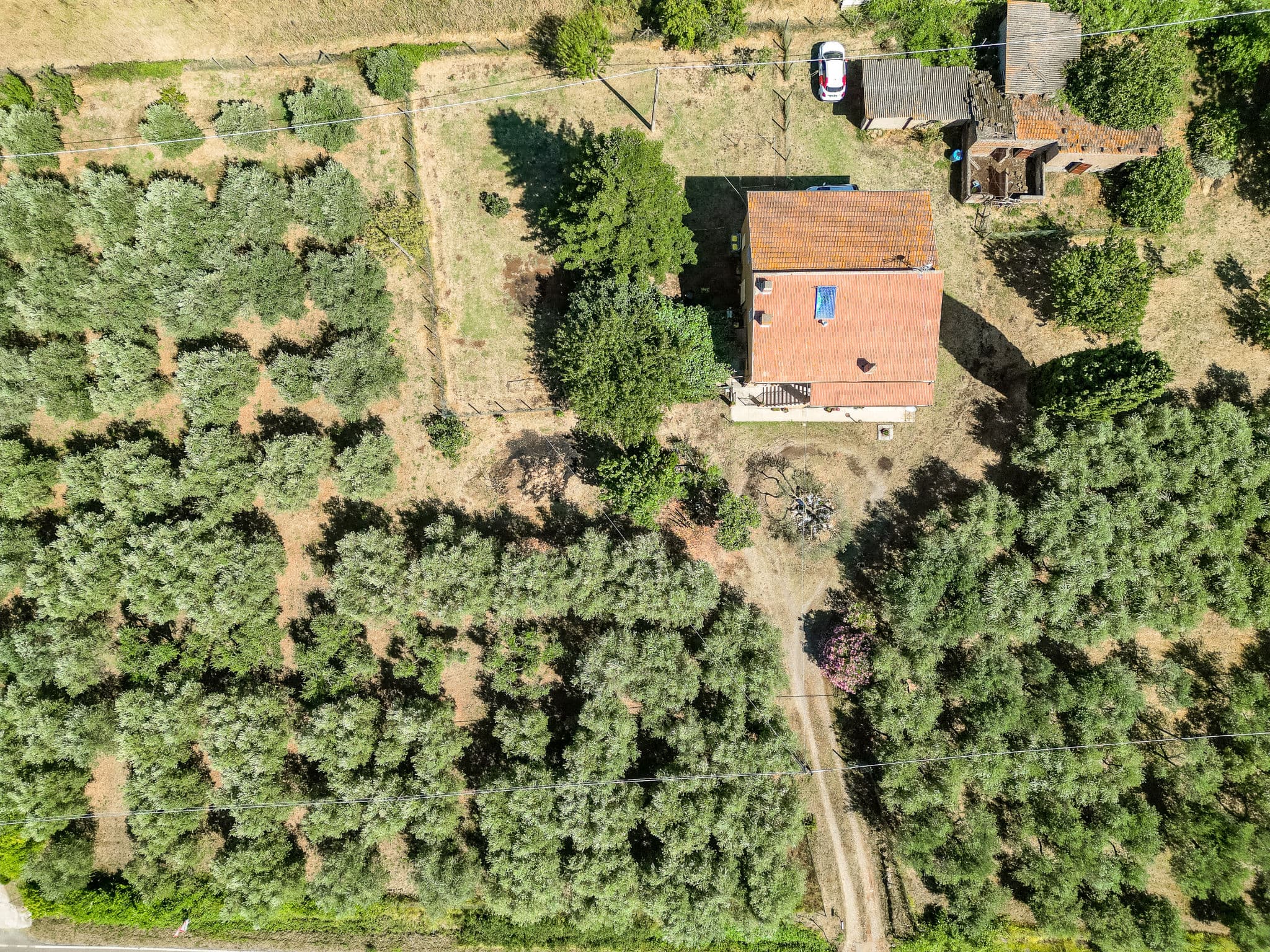 Aerial photography