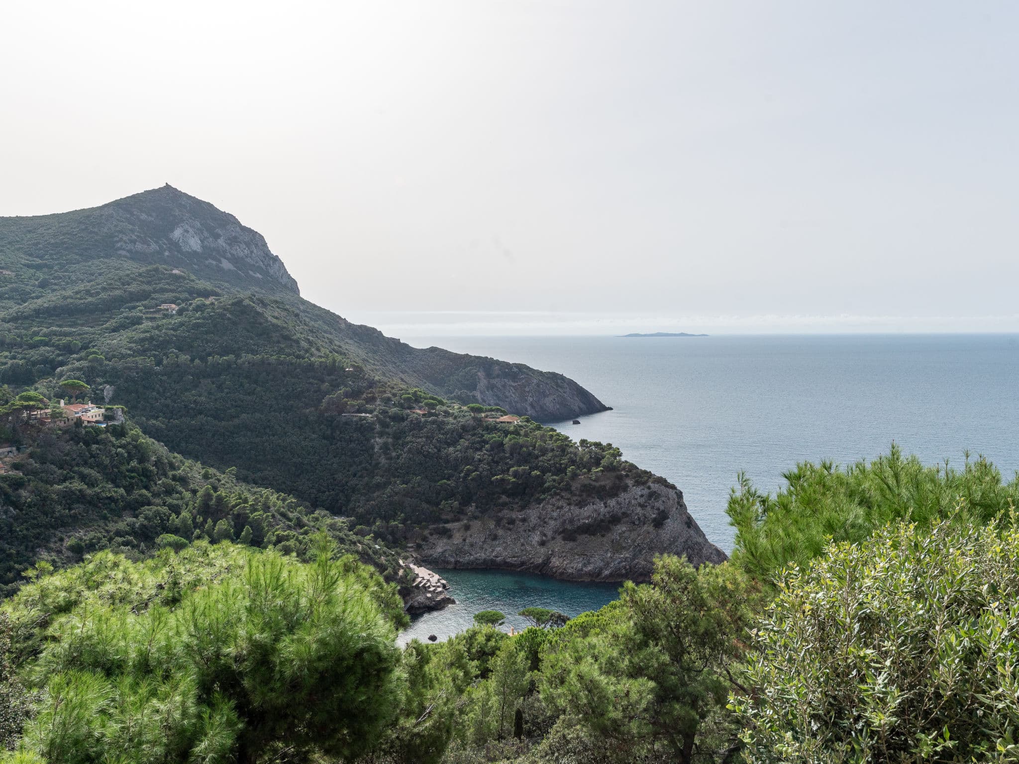 View